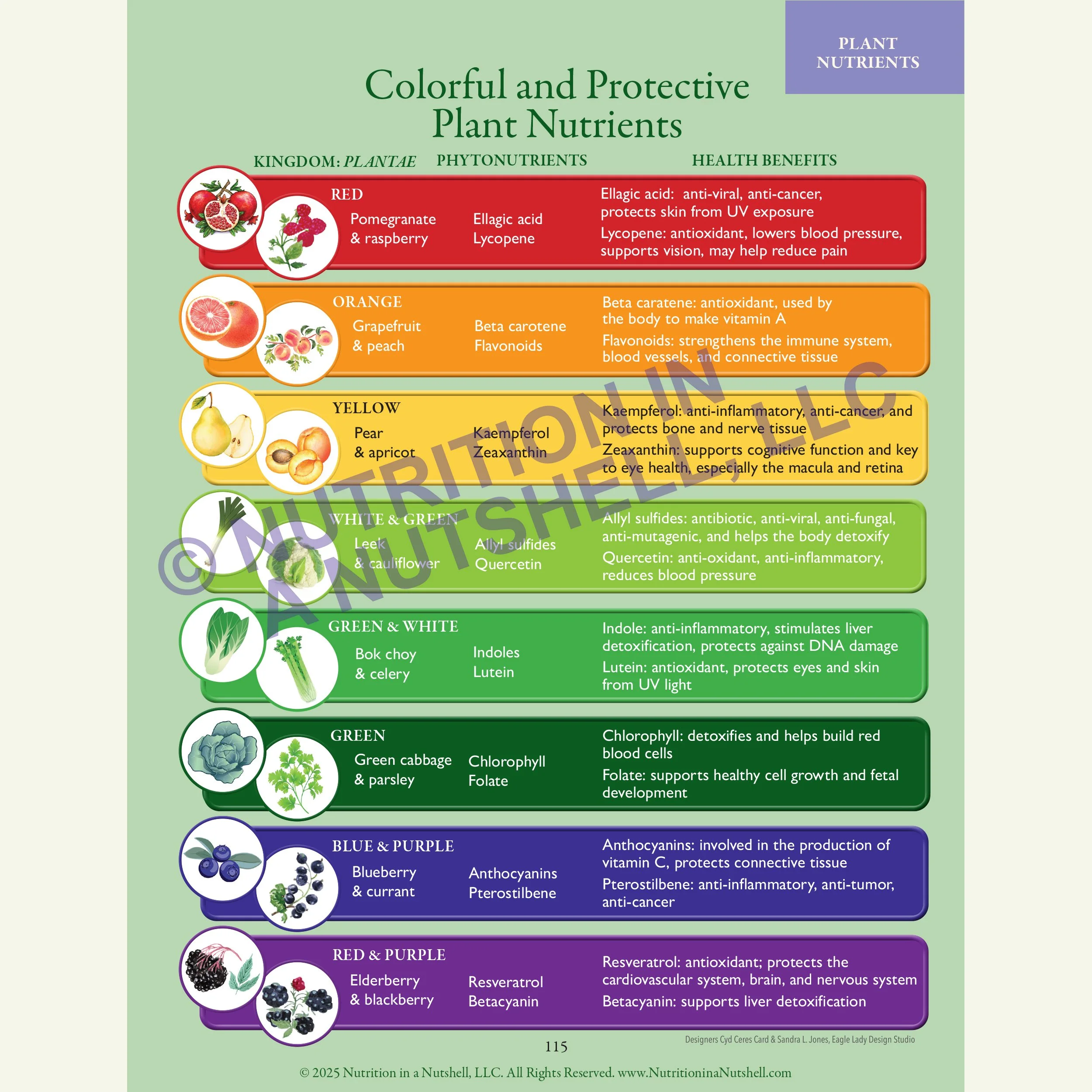 3_Nutrition in a Nutshell_FIVE_KINGDOMS_OF_LIFE_PLANT.jpg