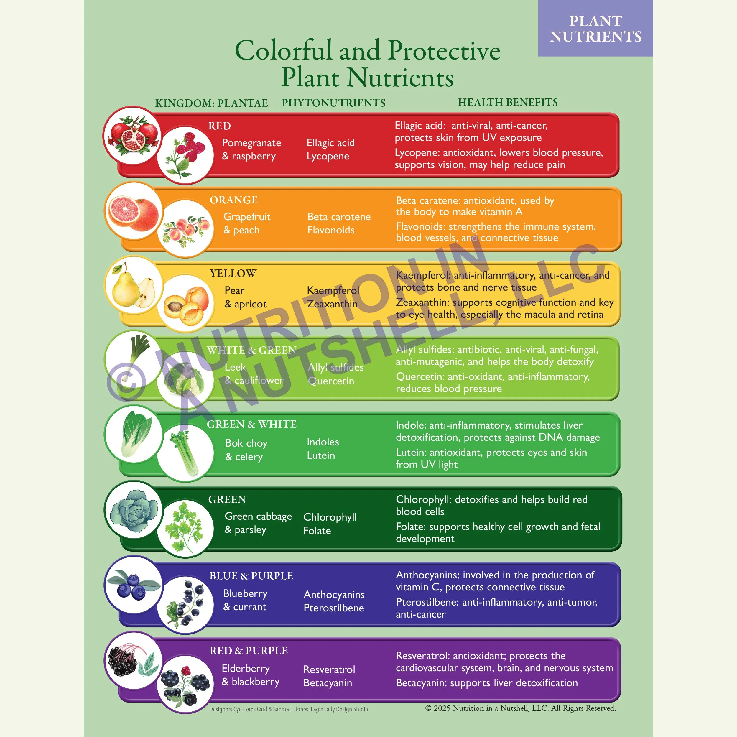 FREE DOWNLOAD! Colorful and Protective Plant Nutrients CHART