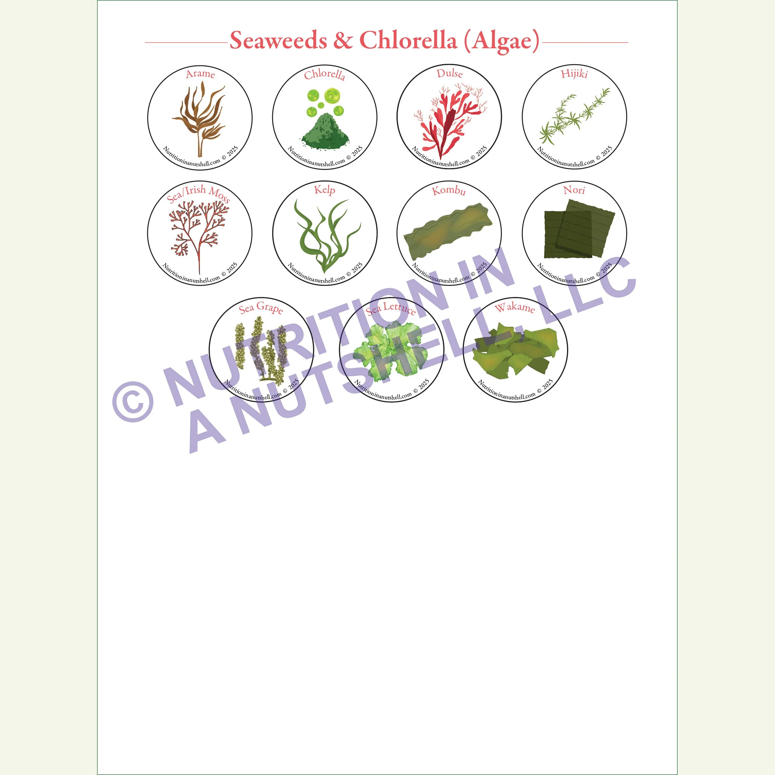 Nutrition in a Nutshell Sticker Pkg Seaweeds.jpg