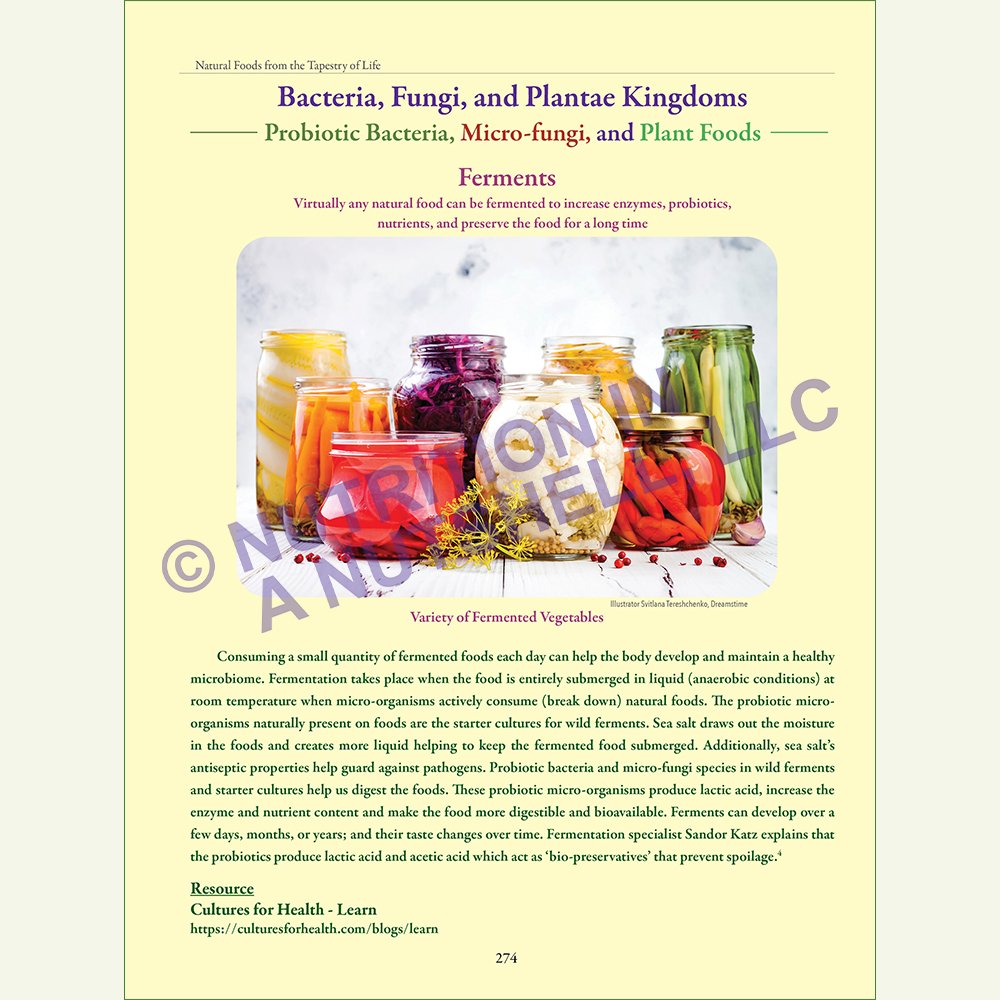 Natural_Foods_from_the_Tapestry_of_Life_Meal_Planning_Ferments.jpg