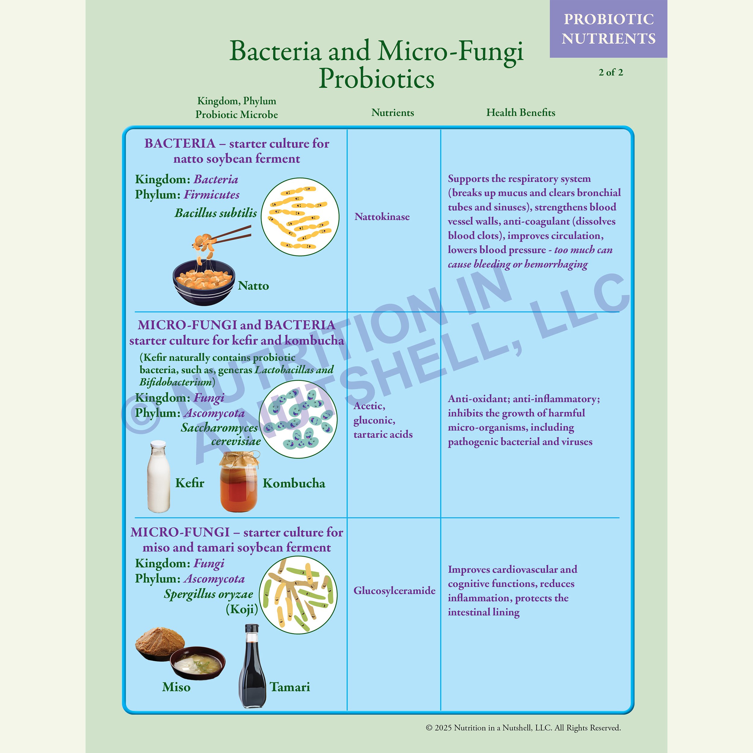 Nutrition in a Nutshell_Probiotics_CHART_page_2.jpg