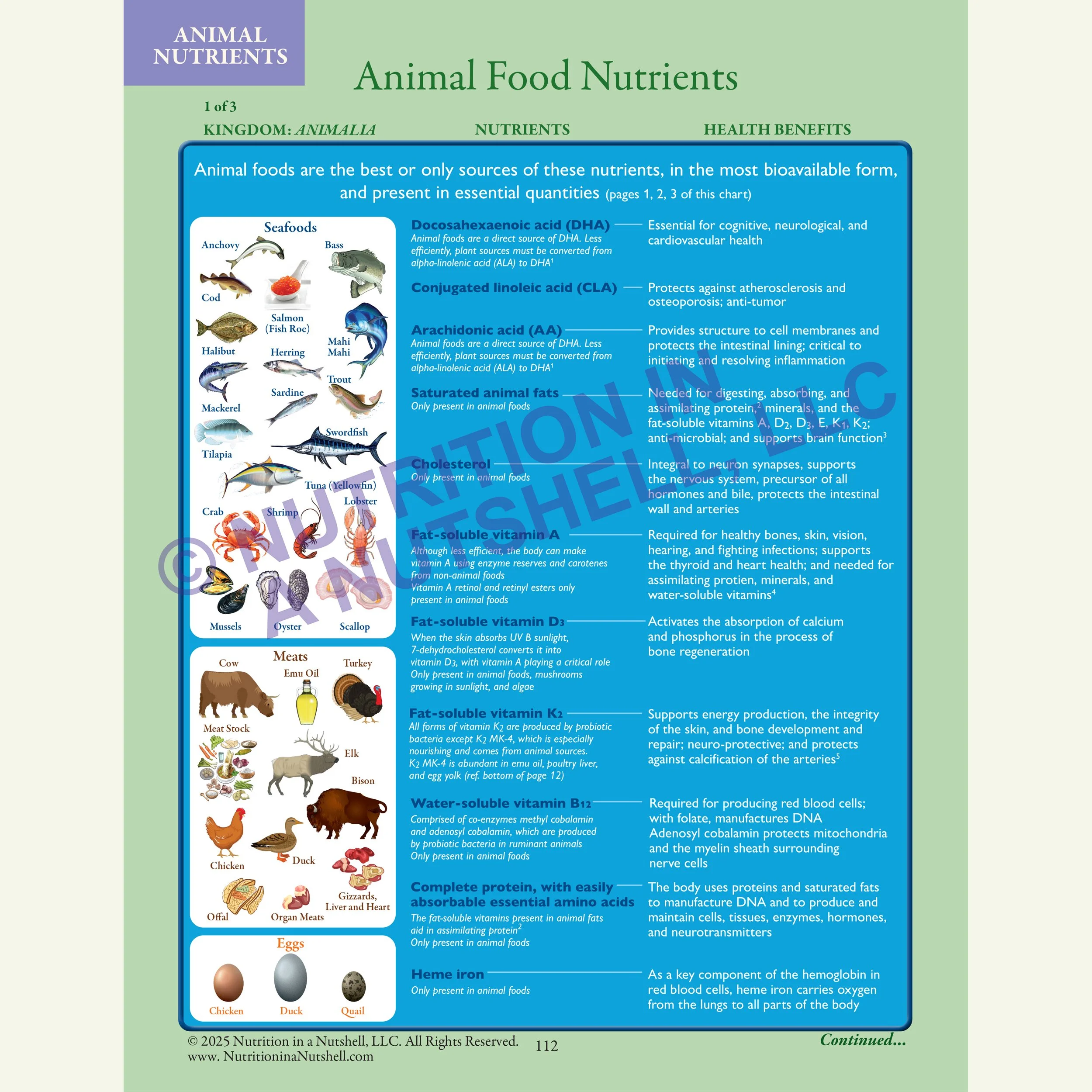 2_Nutrition in a Nutshell_FIVE_KINGDOMS_OF_LIFE_ANIMAL.jpg
