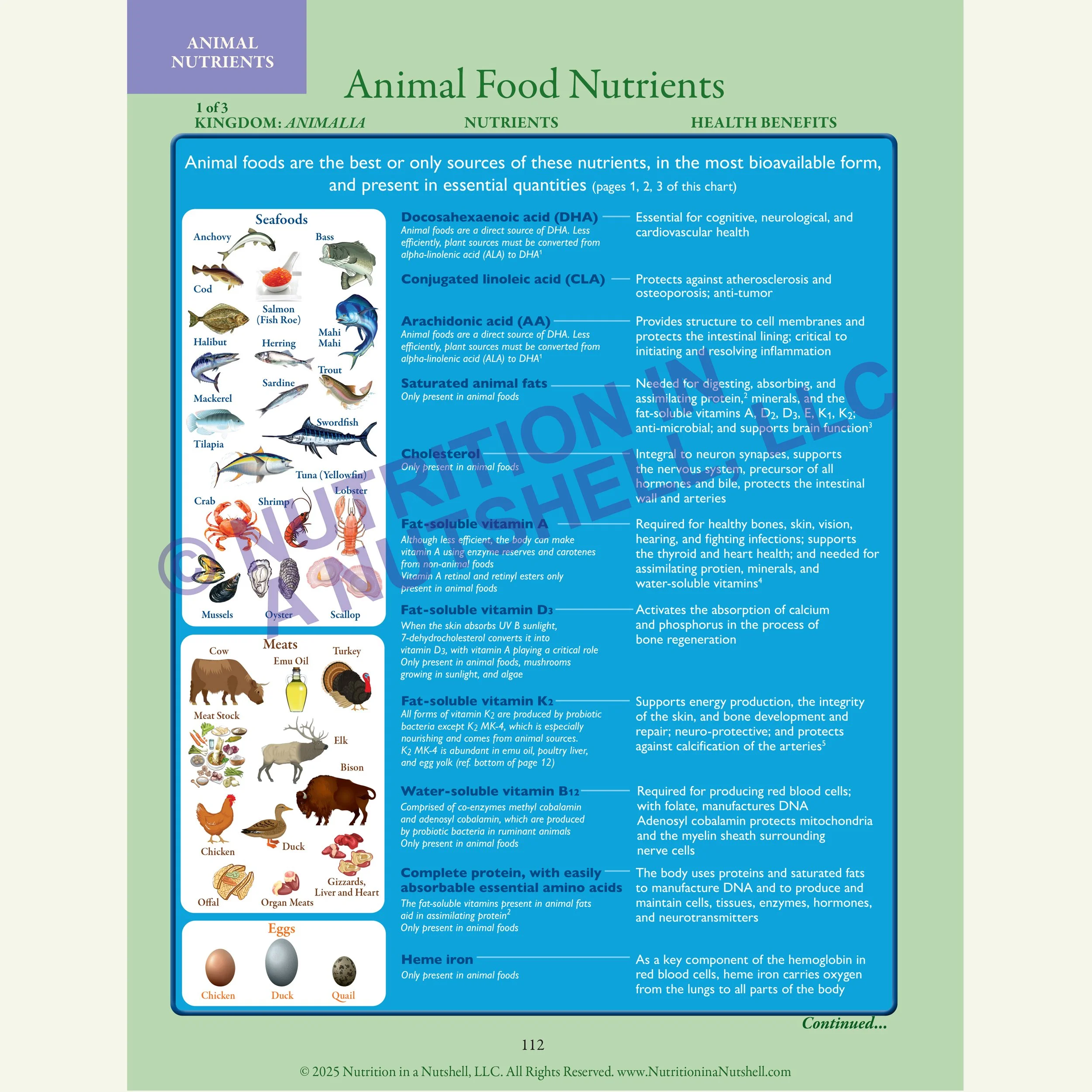 2_Nutrition in a Nutshell_FIVE_KINGDOMS_OF_LIFE_ANIMAL.jpg