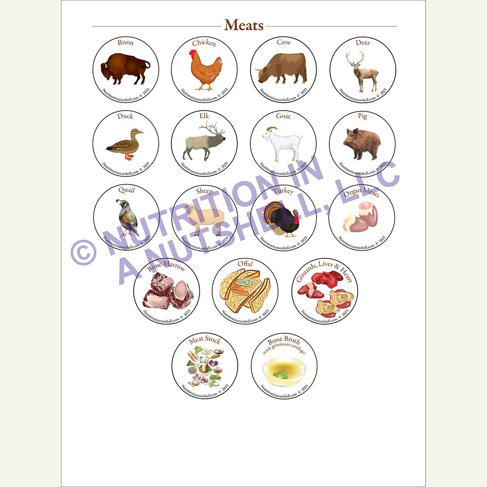 Nutrition in a Nutshell Sticker Pkg Meats.jpg