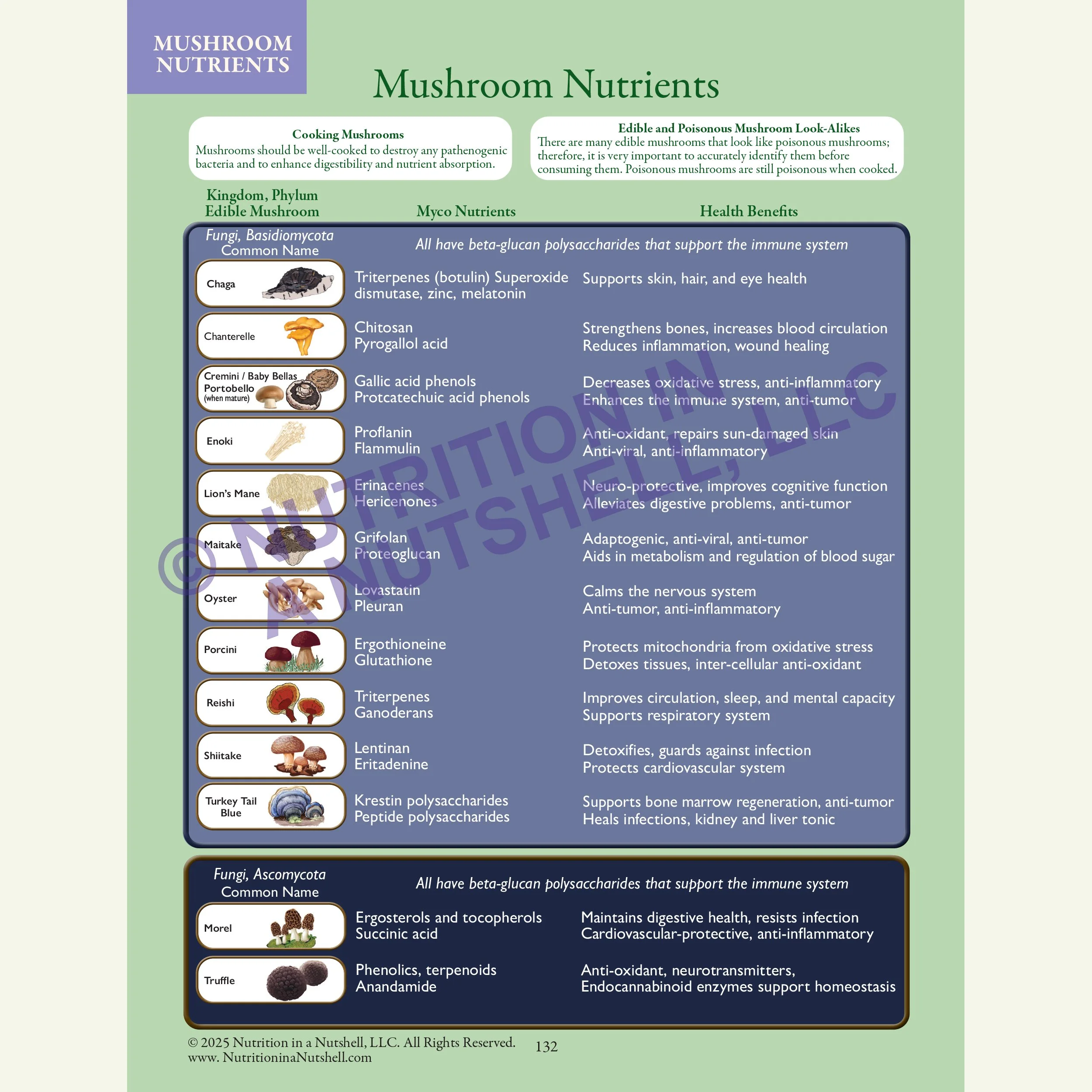 4_Nutrition in a Nutshell_FIVE_KINGDOMS_OF_LIFE_MUSHROOMS.jpg