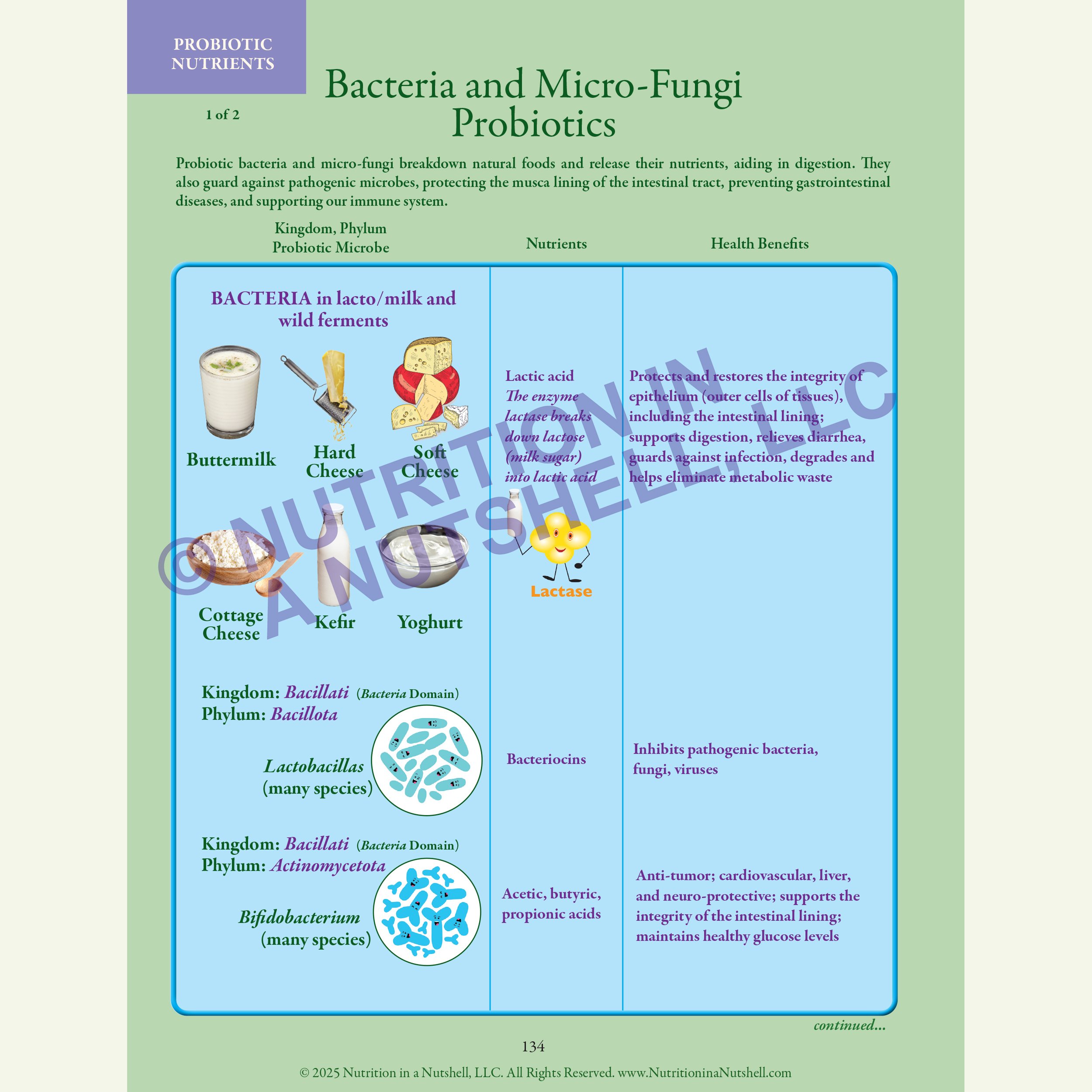8_Nutrition in a Nutshell_FIVE_KINGDOMS_OF_LIFE_PROBIOTICS.jpg