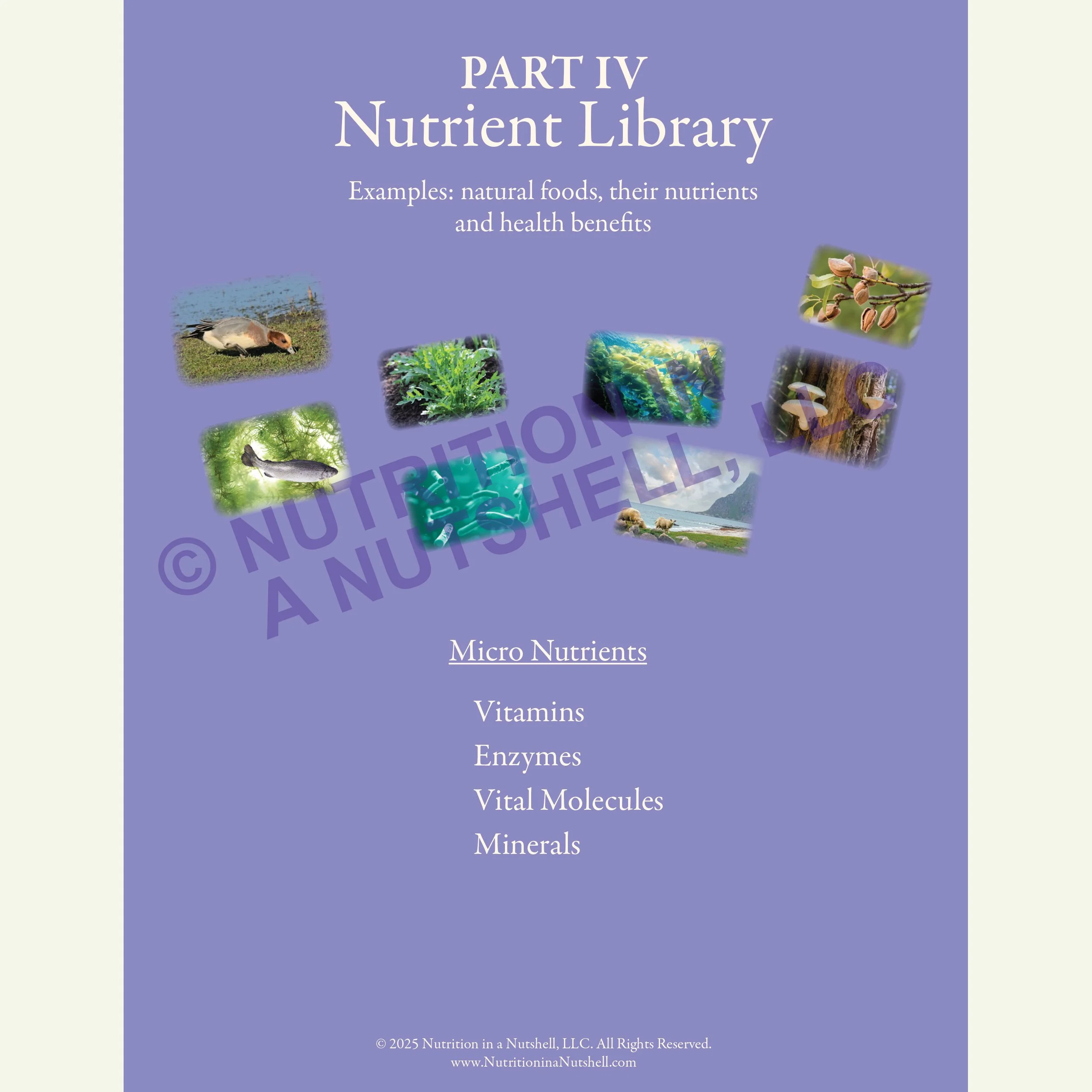 MICRO_NUTRIENTS_COVER_watermark_KINGDOMS_COVER_Natural_Foods_from_the_Tapestry_of_Life.jpg