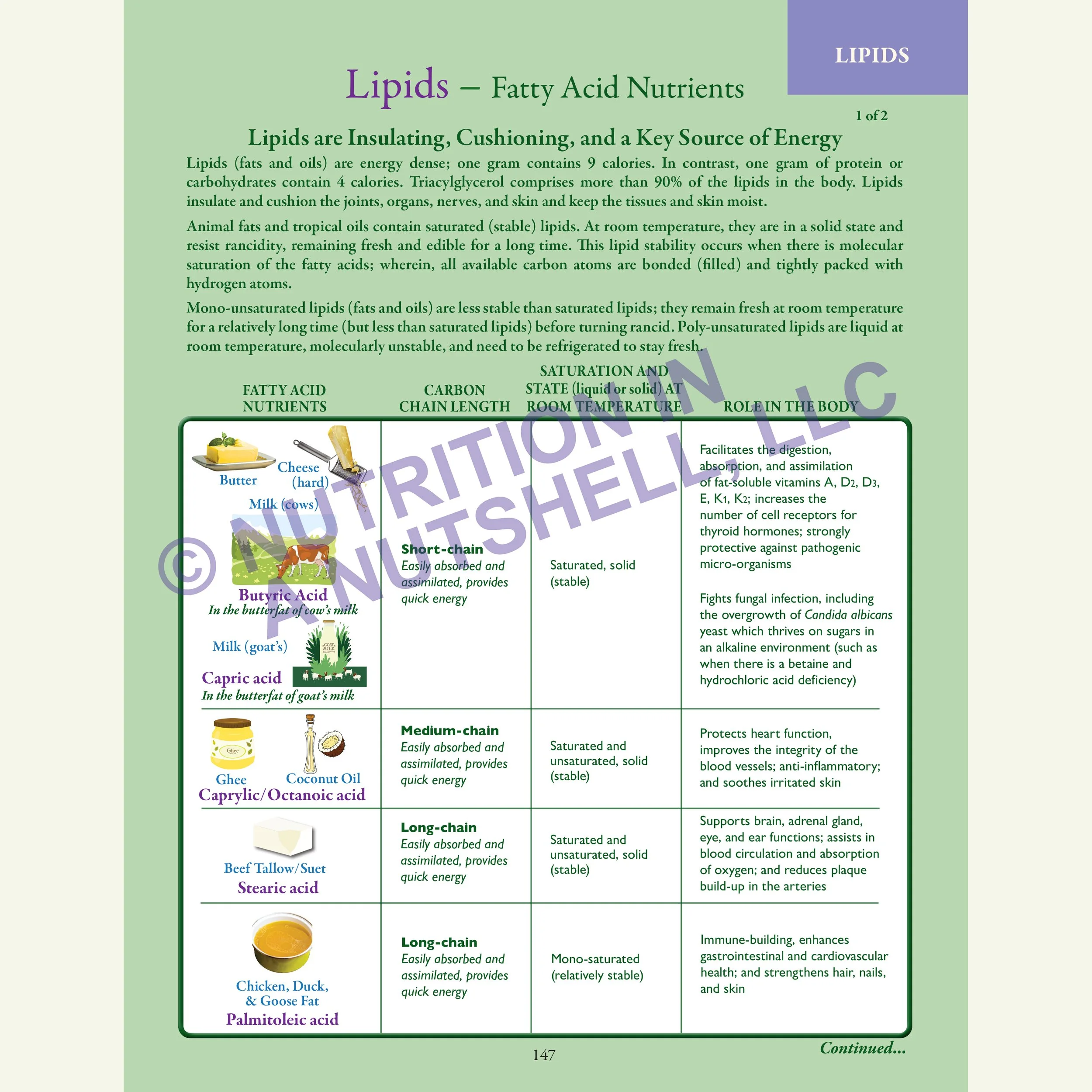 Nutrition in a Nutshell_MACRO_NUTRIENTS5.jpg