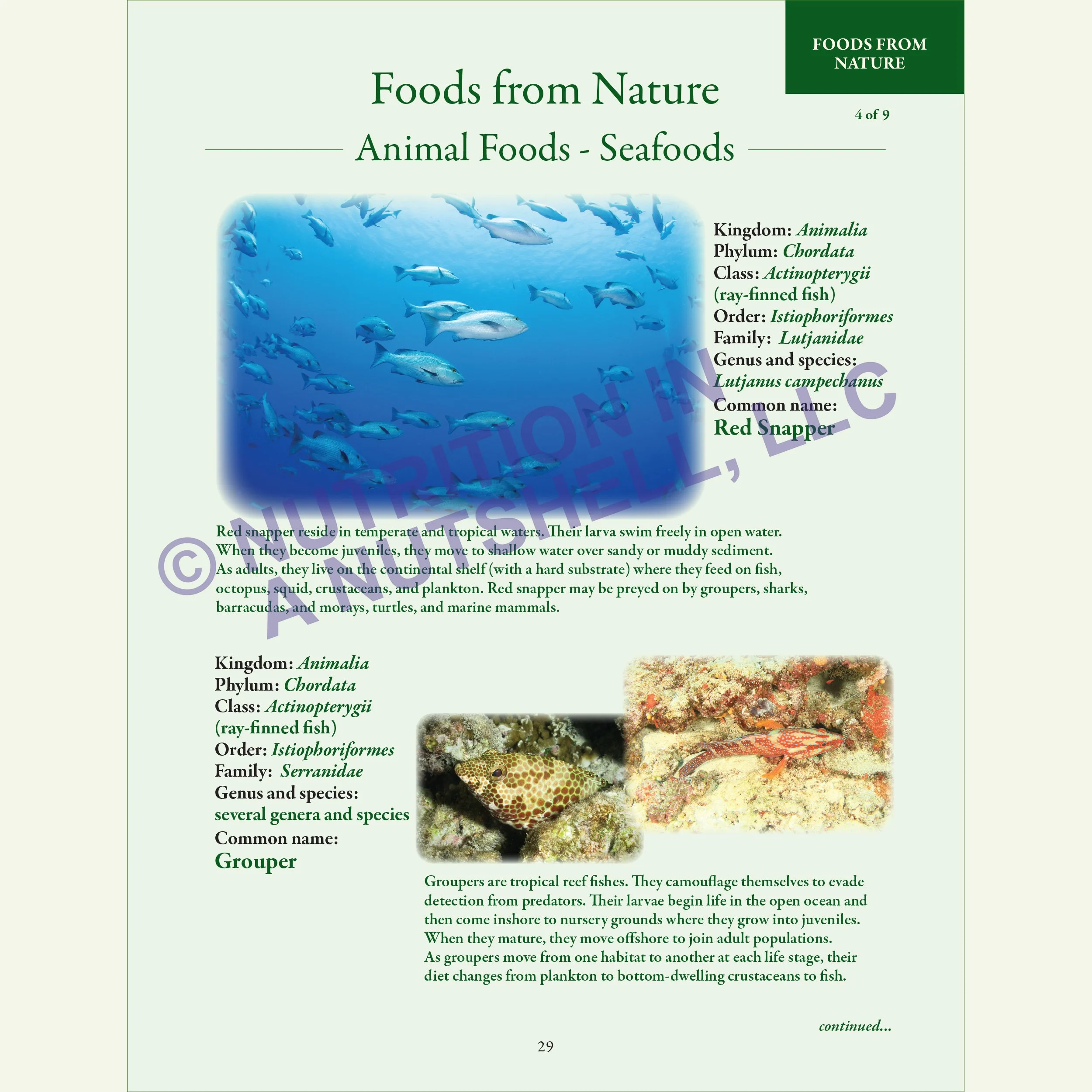 Nutrition in a Nutshell_FOODS_FROM_NATURE5.jpg