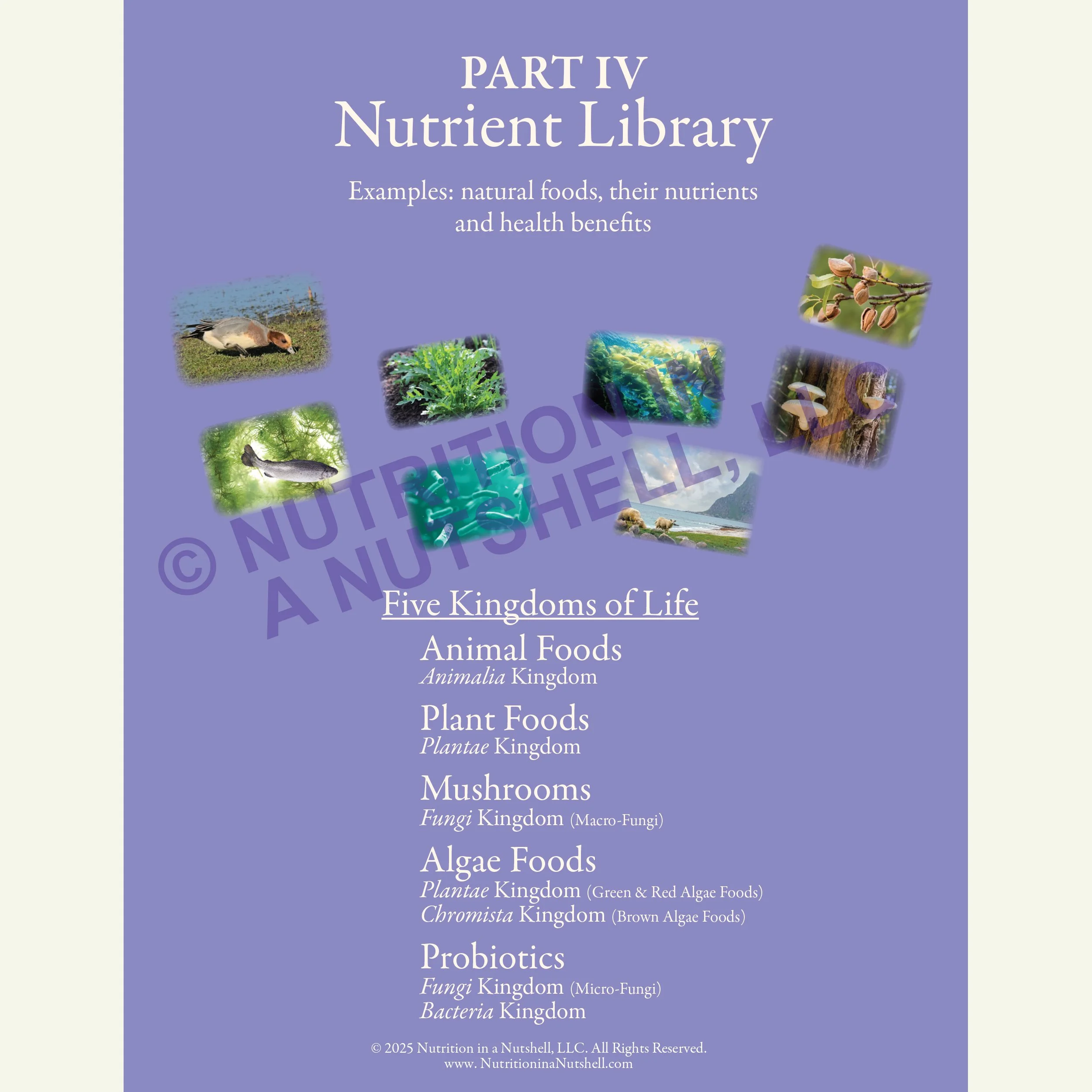 Five Kingdoms of Life education charts – excerpts from Natural Foods from the Tapestry of Life. PDF DOWNLOAD
