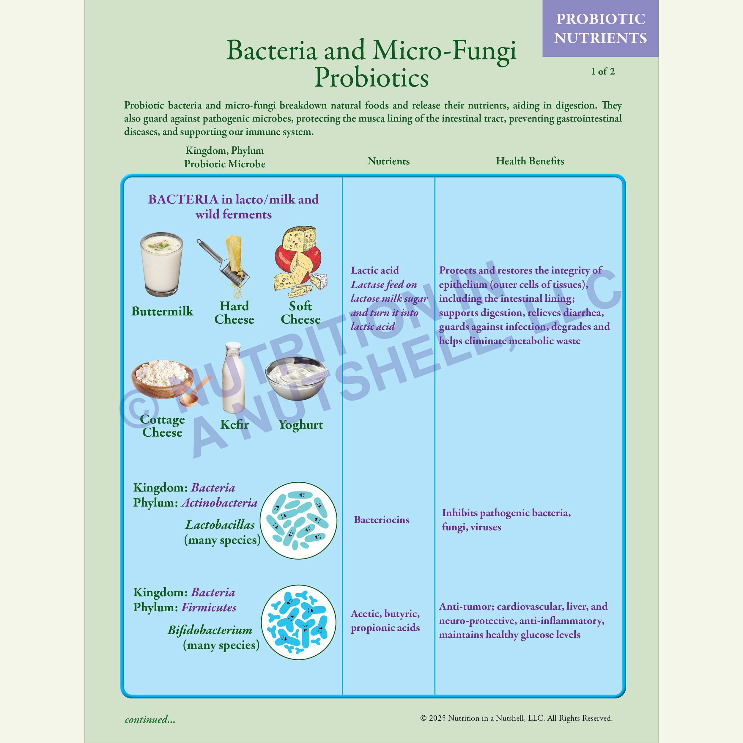 Bacteria and Micro-Fungi Probiotics CHART