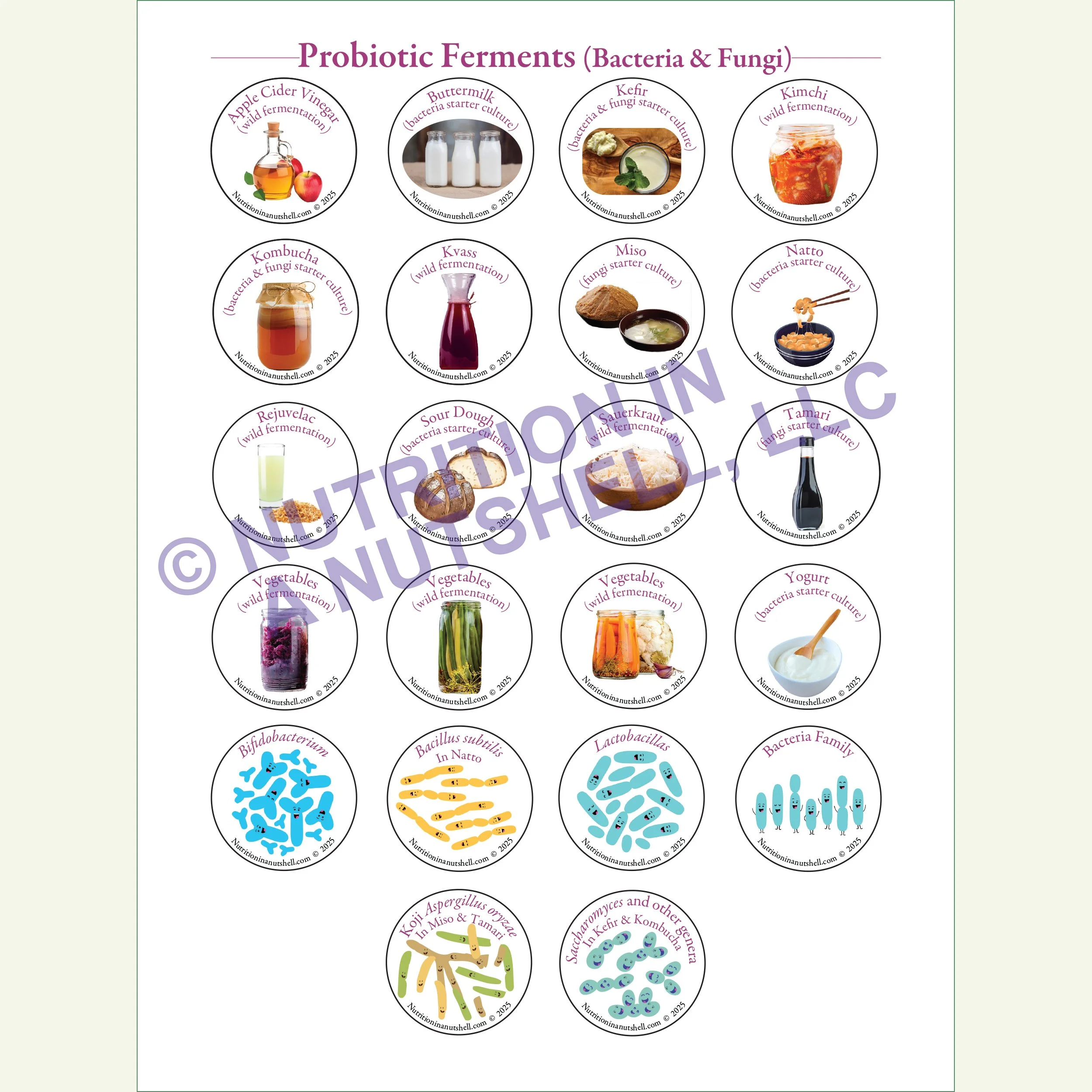 Nutrition in a Nutshell Sticker Pkg Ferments.jpg