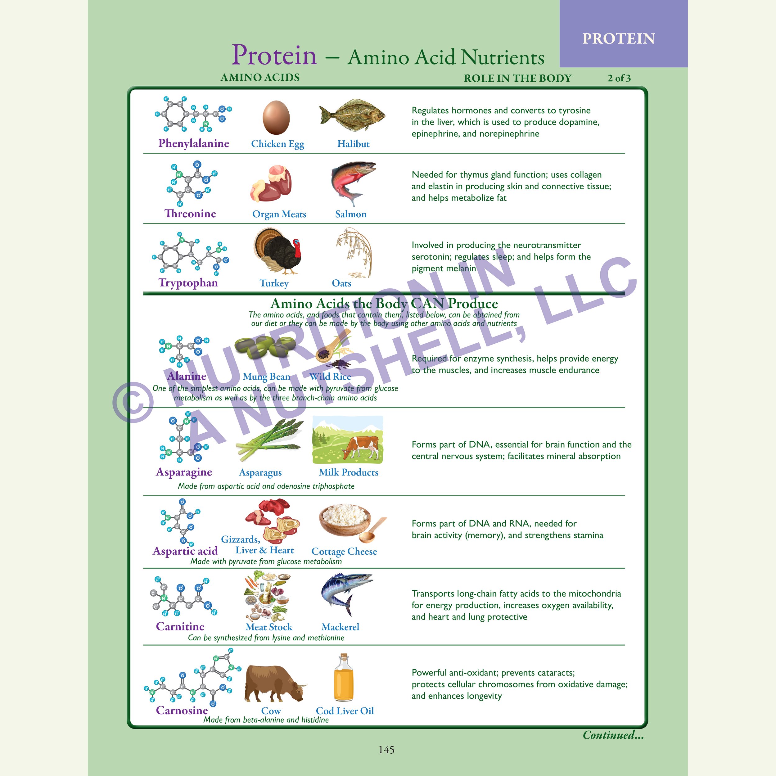 Nutrition in a Nutshell_MACRO_NUTRIENTS3.jpg