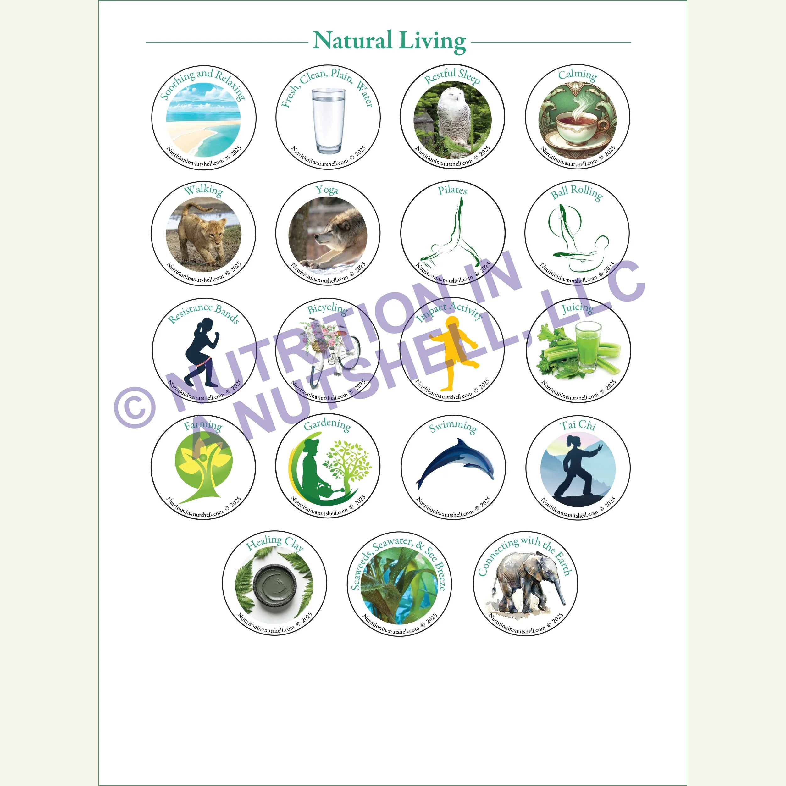 Nutrition in a Nutshell Sticker Pkg Natural Living.jpg