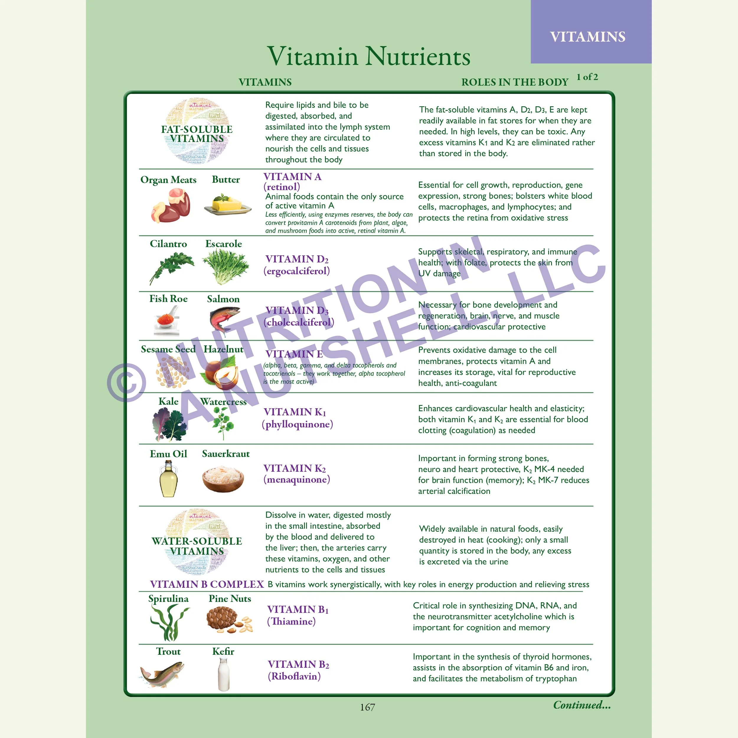 Nutrition in a Nutshell_MICRO_NUTRIENTS2.jpg