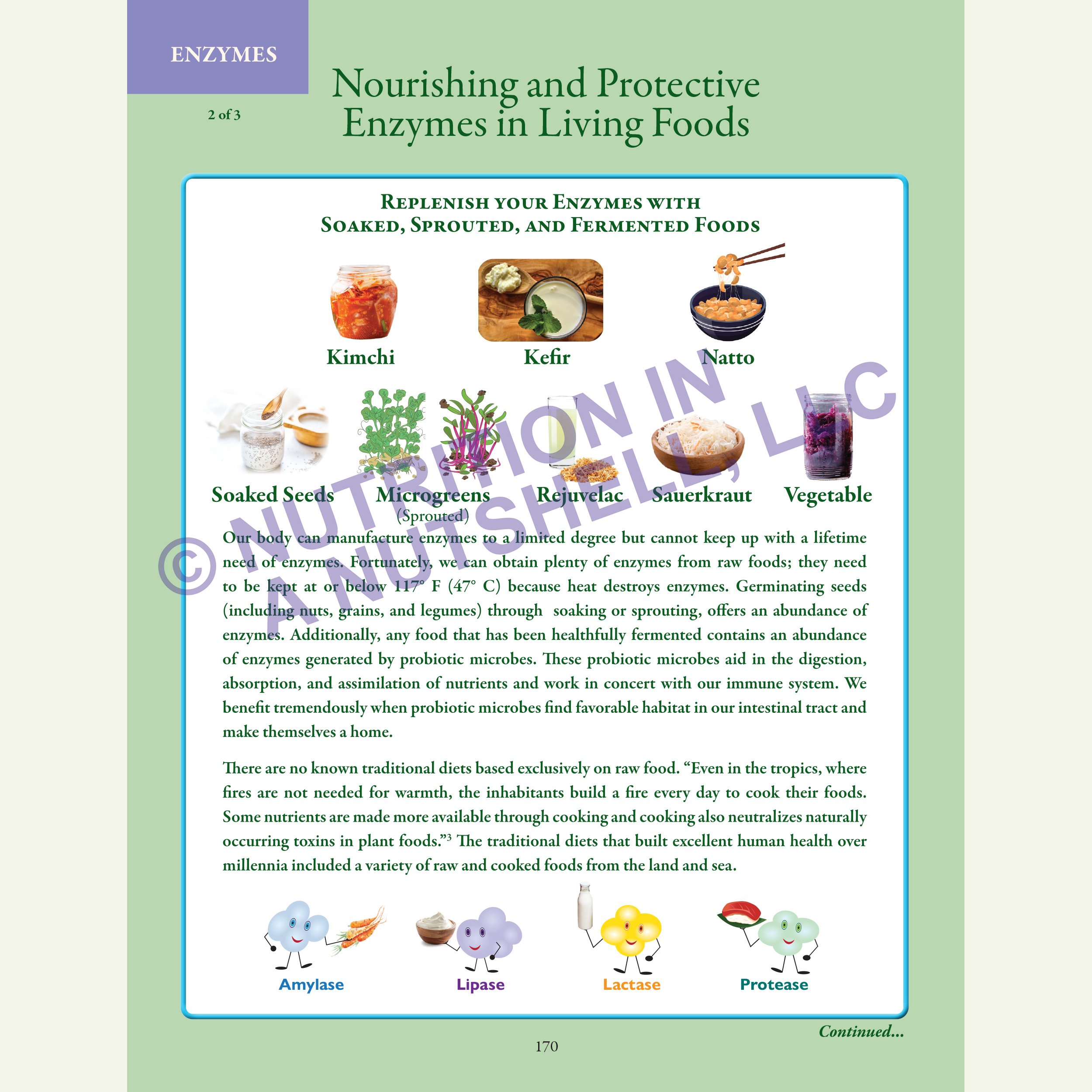 Nutrition in a Nutshell_MICRO_NUTRIENTS5.jpg