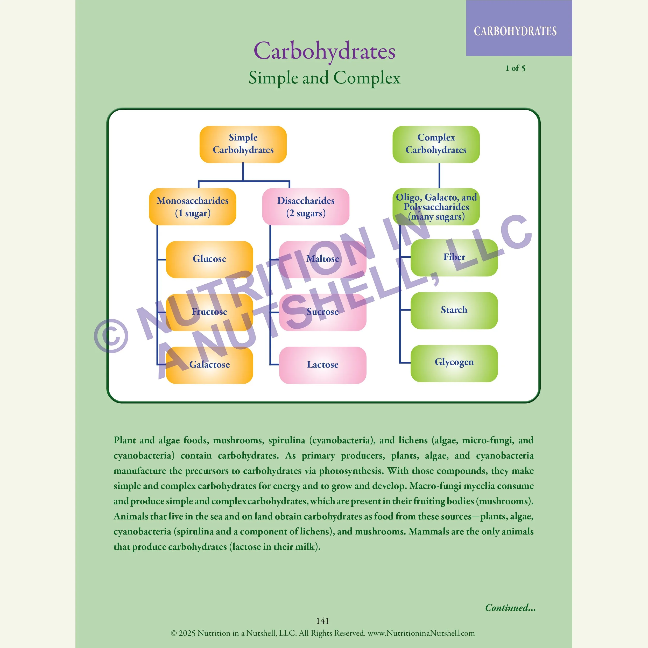 4_Nutrition in a Nutshell_ACROSS_ALL_THE_KINGDOMS_CARBOHYDRATES.jpg