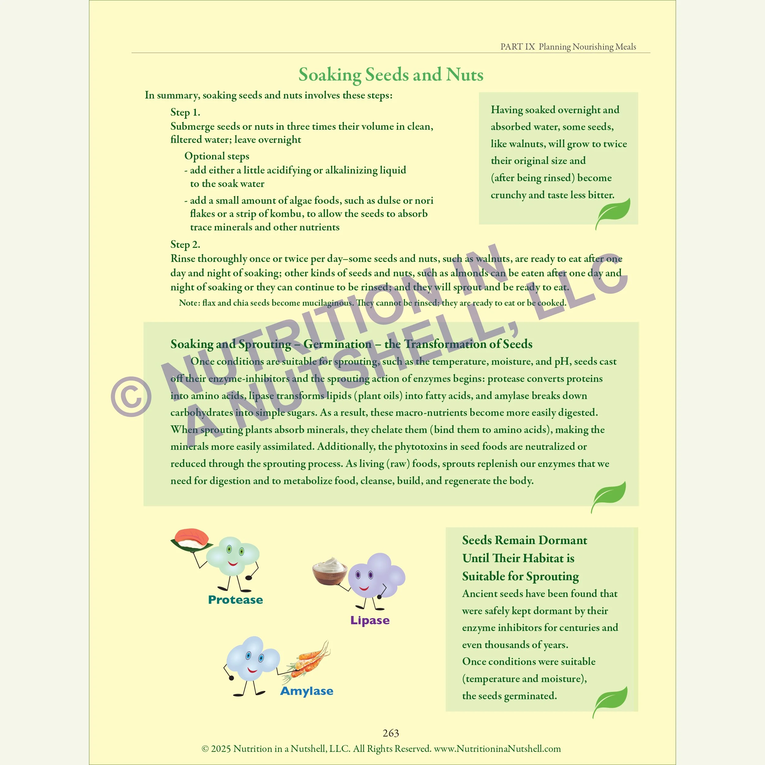 Nutrition in a Nutshell MEAL_PLANNING6.jpg