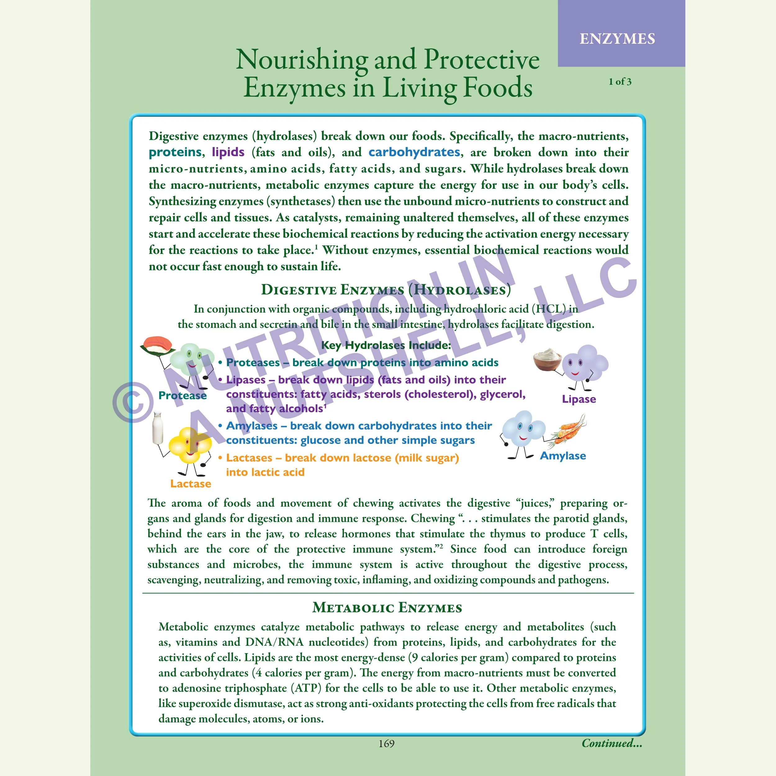 Nutrition in a Nutshell_MICRO_NUTRIENTS4.jpg