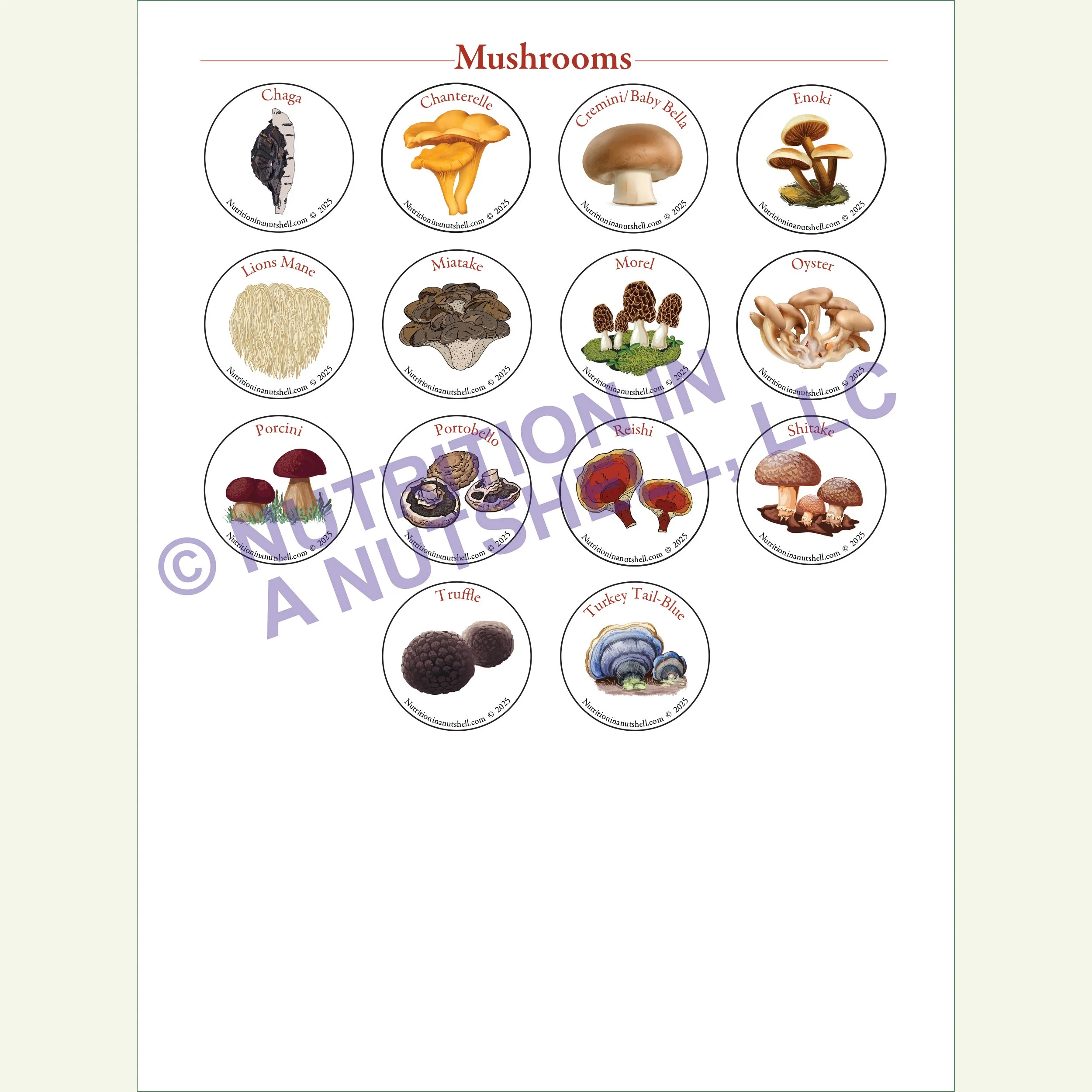 Nutrition in a Nutshell Sticker Pkg Mushrooms.jpg