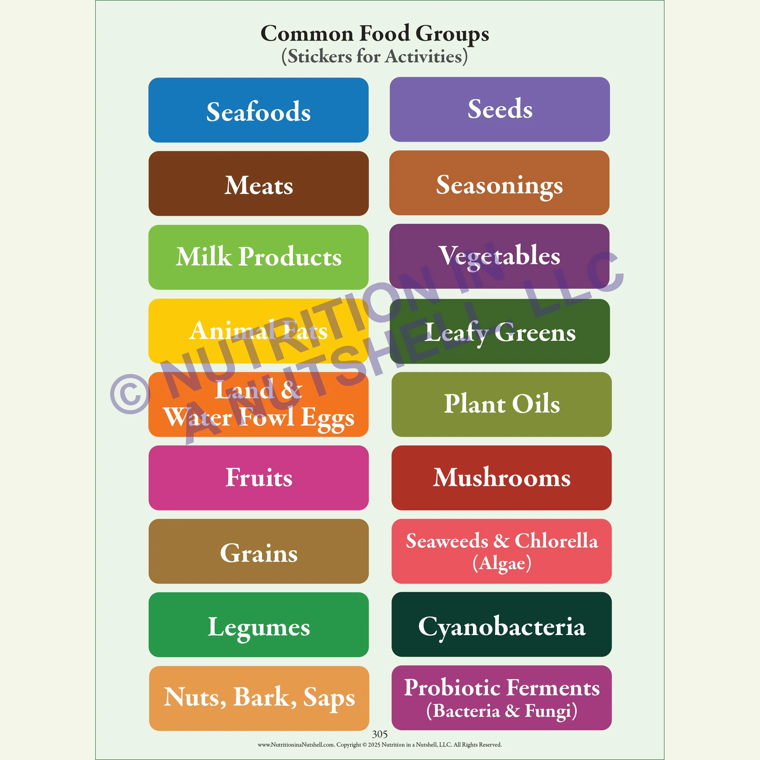 Nutrition in a Nutshell Sticker Pkg Common Foods Labels.jpg