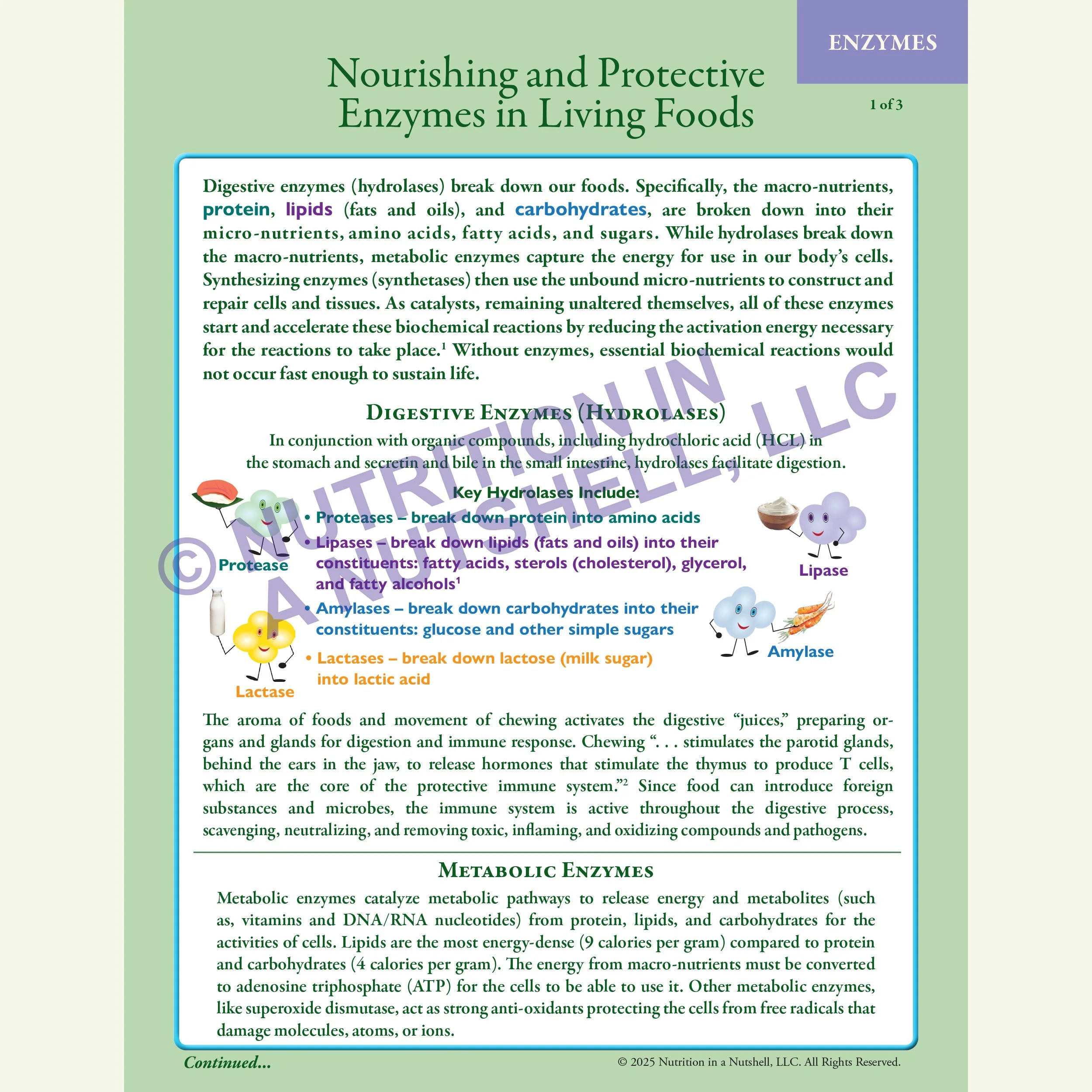 Nourishing_Protective_Enzymes_in_Living_Foods.jpg