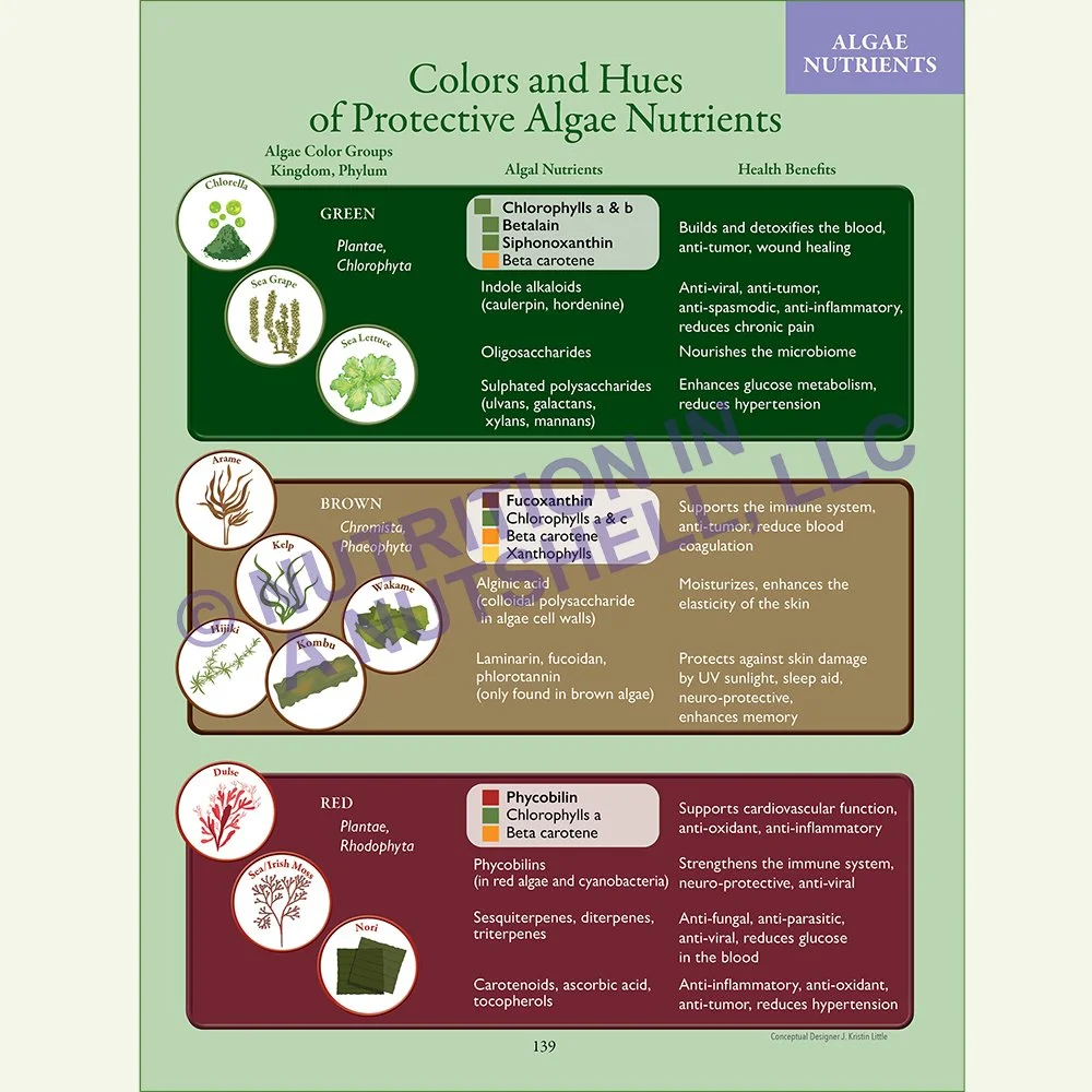 Natural_Foods_from_the_Tapestry_of_Life_Book_ALGAE.jpg