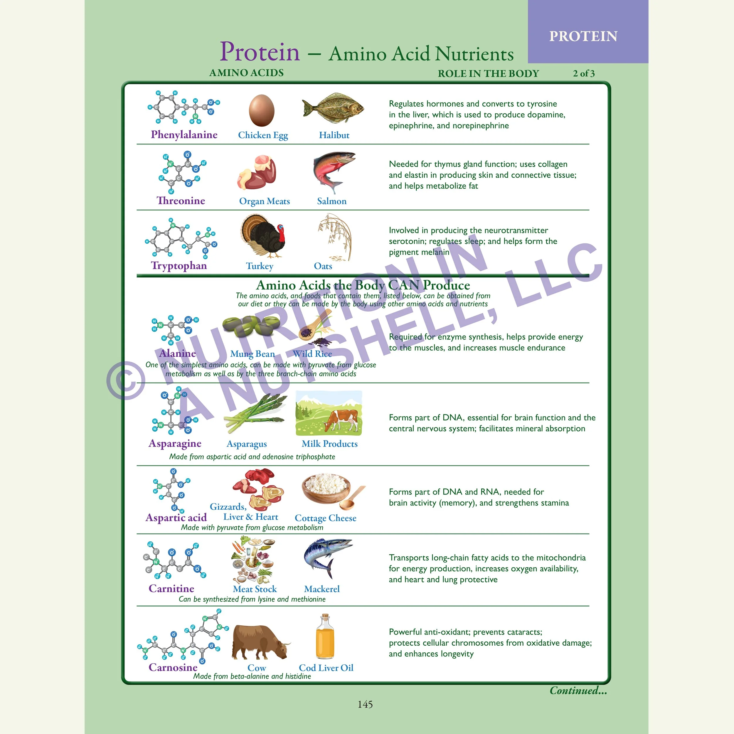 Nutrition in a Nutshell_ACROSS_ALL_THE_KINGDOMS3.jpg