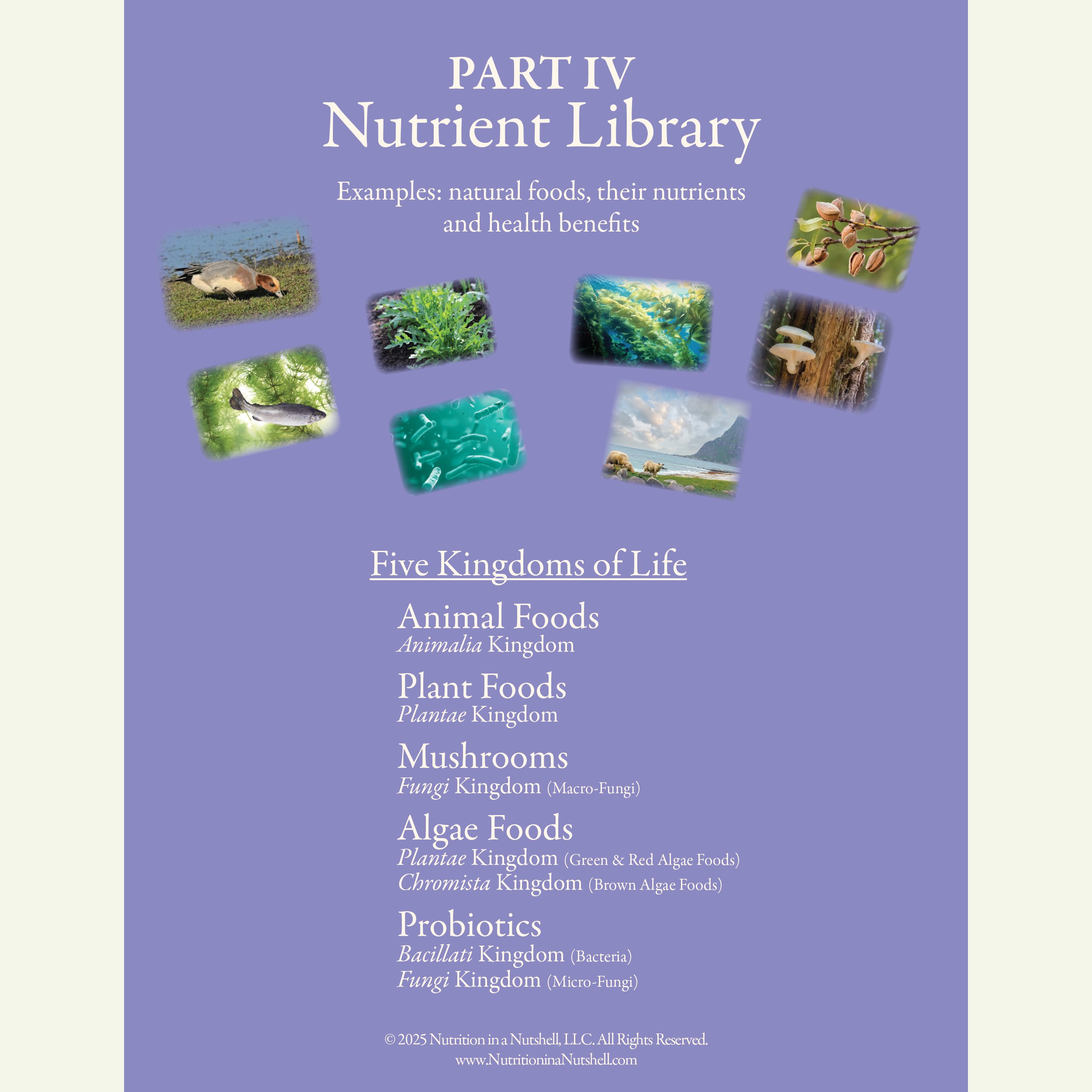 Five Kingdoms of Life education charts – excerpts from Natural Foods from the Tapestry of Life. PDF DOWNLOAD