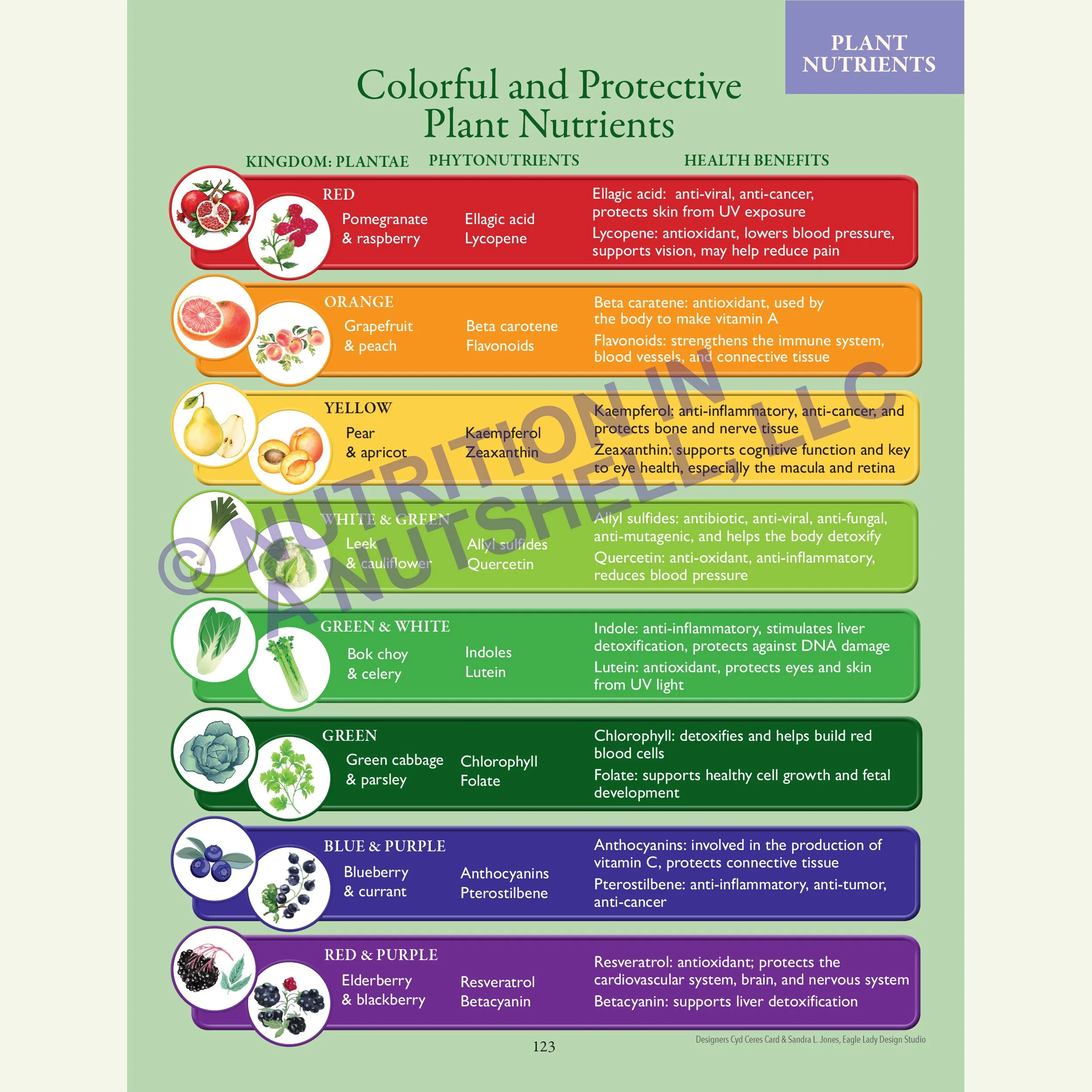 Nutrition in a Nutshell_FIVE_KINGDOMS_OF_LIFE5.jpg
