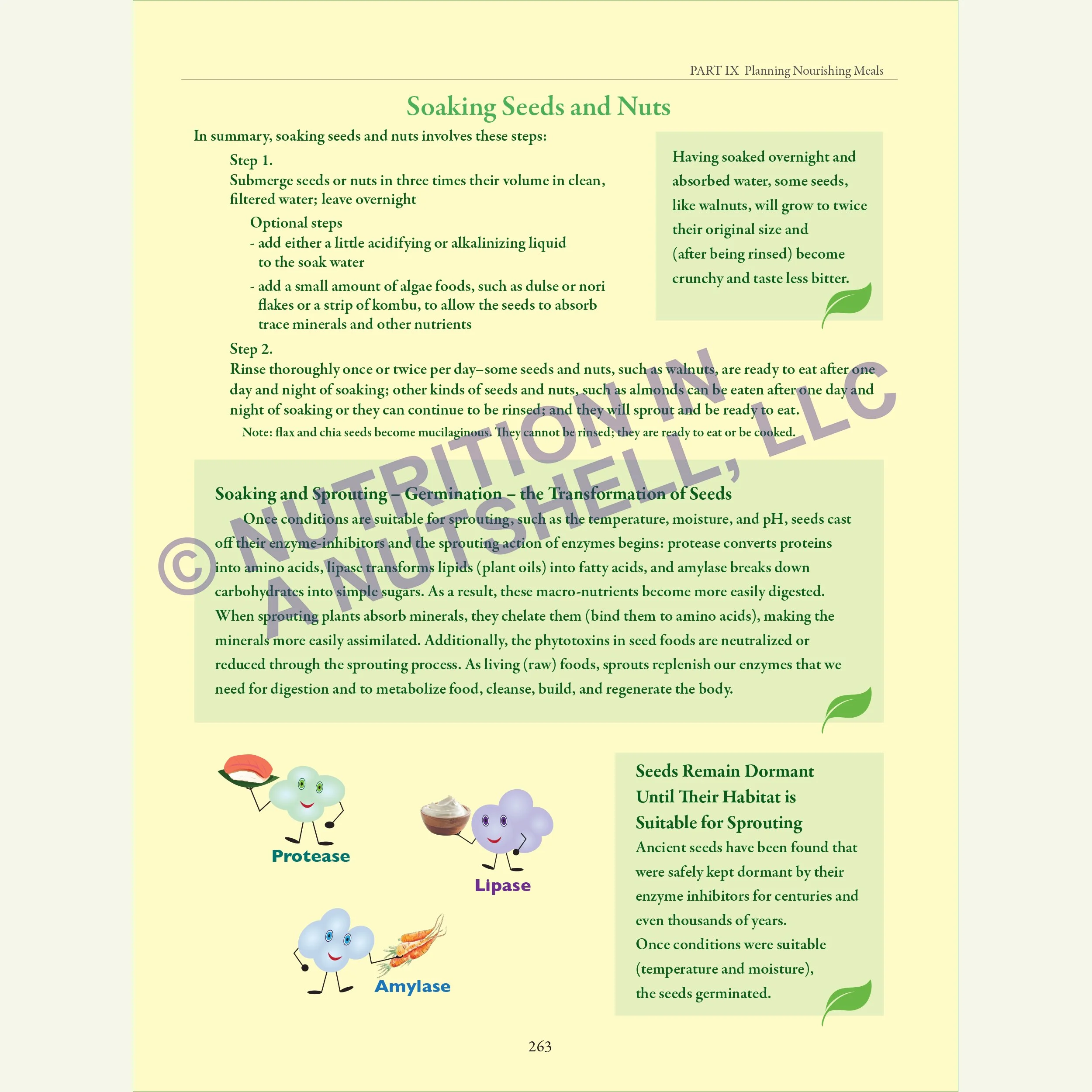 Nutrition in a Nutshell MEAL_PLANNING6.jpg