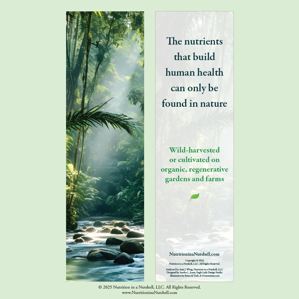 6_Bookmarks_NATURAL_FOODS_FROM_THE_TAPESTRY_OF_LIFE.jpg (Copy)