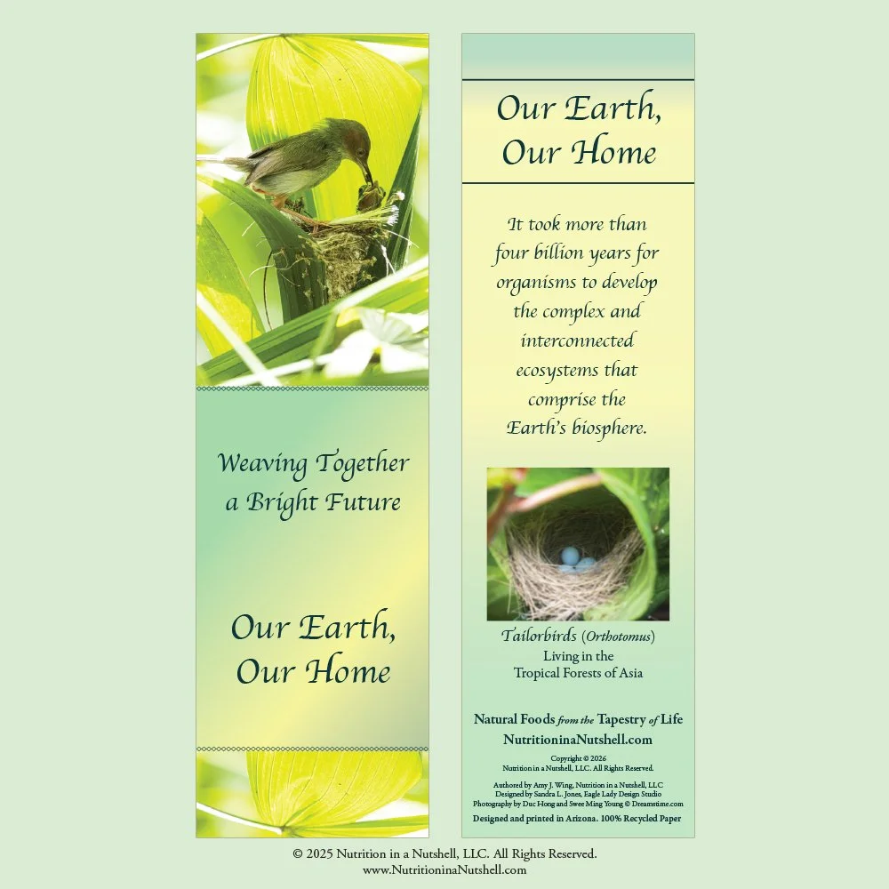10_Bookmarks_NATURAL_FOODS_FROM_THE_TAPESTRY_OF_LIFE.jpg (Copy)
