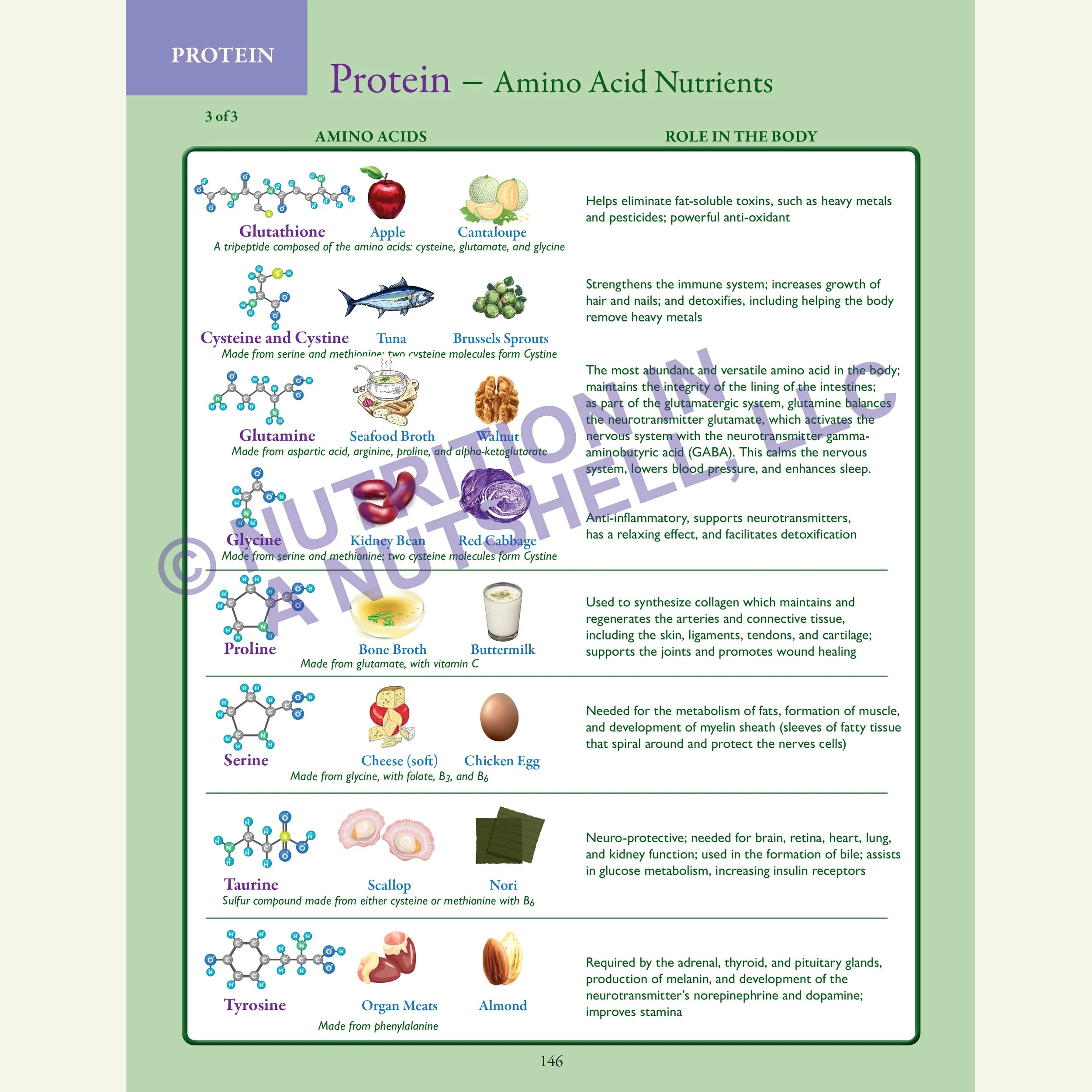 Nutrition in a Nutshell_ACROSS_ALL_THE_KINGDOMS4.jpg