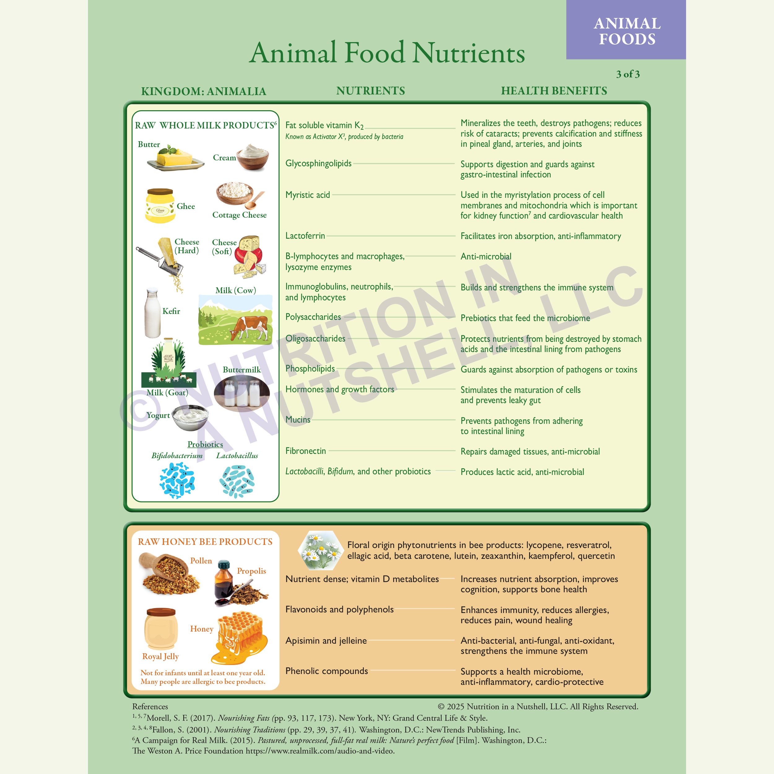 Nutrition in a Nutshell_Animal_Foods_CHART_page_3.jpg