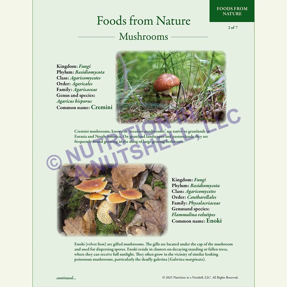 Natural_Foods_from_the_Tapestry_of_Life_Book_MUSHROOMS.jpg