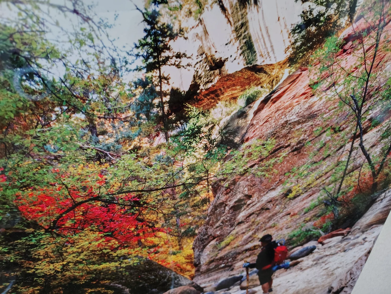 Additional view of the high-gloss Zion Subway metal print by Bryce Henning