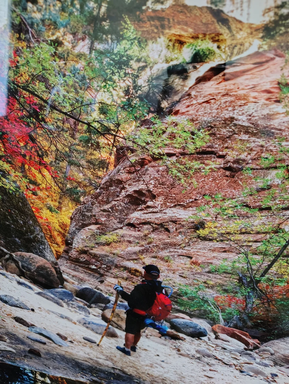 Detailed view of the autumn colors and water reflections in the Zion Subway photograph