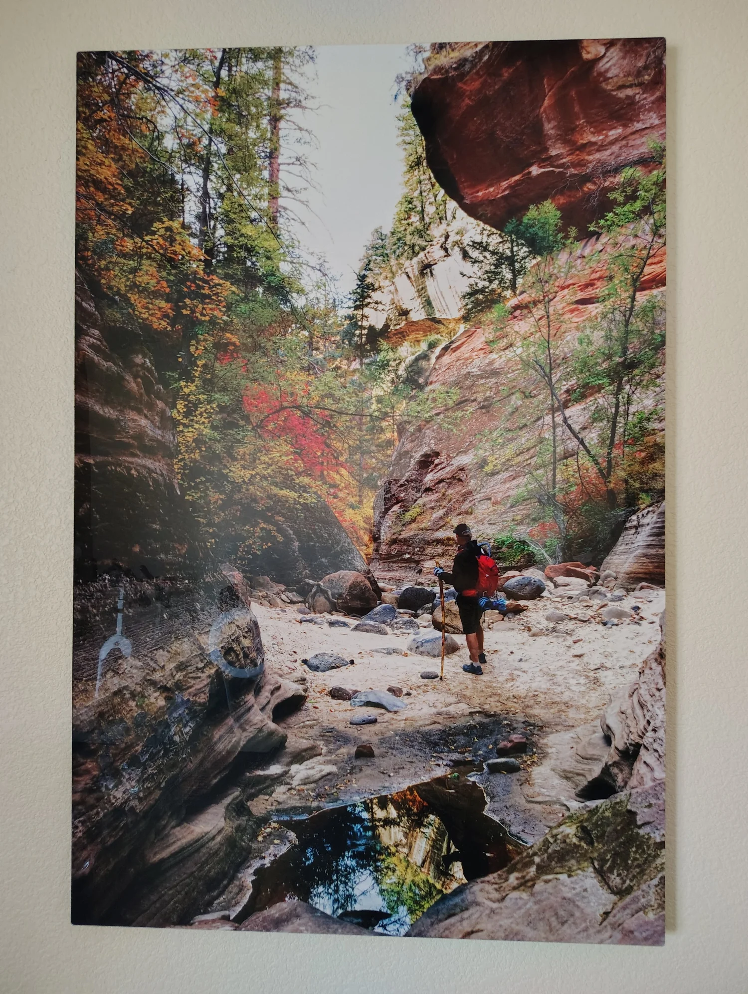Man hiking through the Zion Subway surrounded by colorful autumn leaves reflected in the water, photographed by Bryce Henning