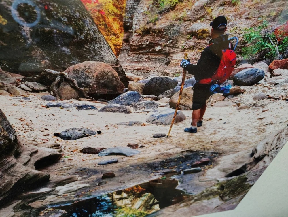 View showing the vivid colors and high-gloss finish of the Zion Subway metal print