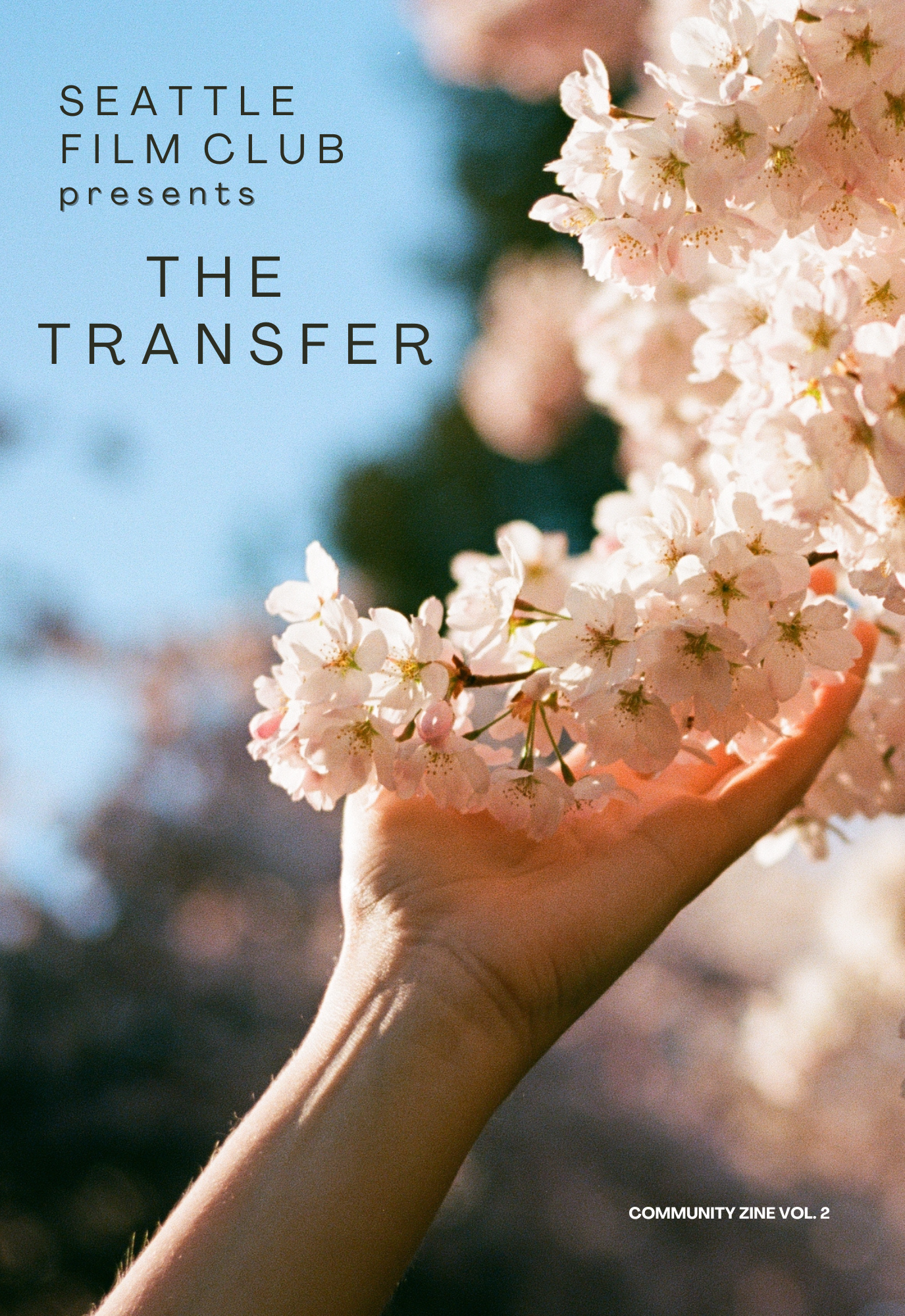 the transfer: sfc’s spring/summer zine