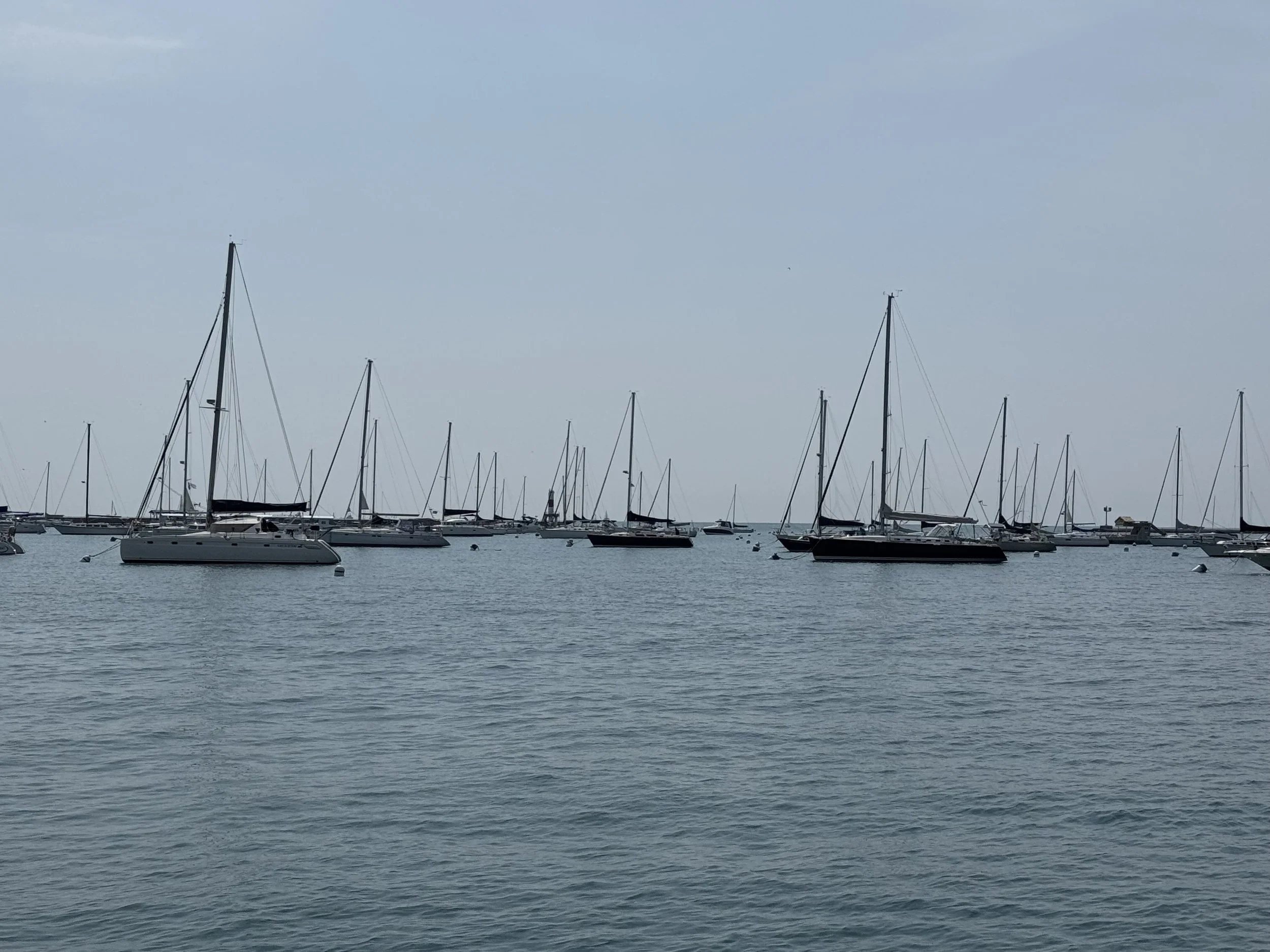 IMG_1161.jpeg