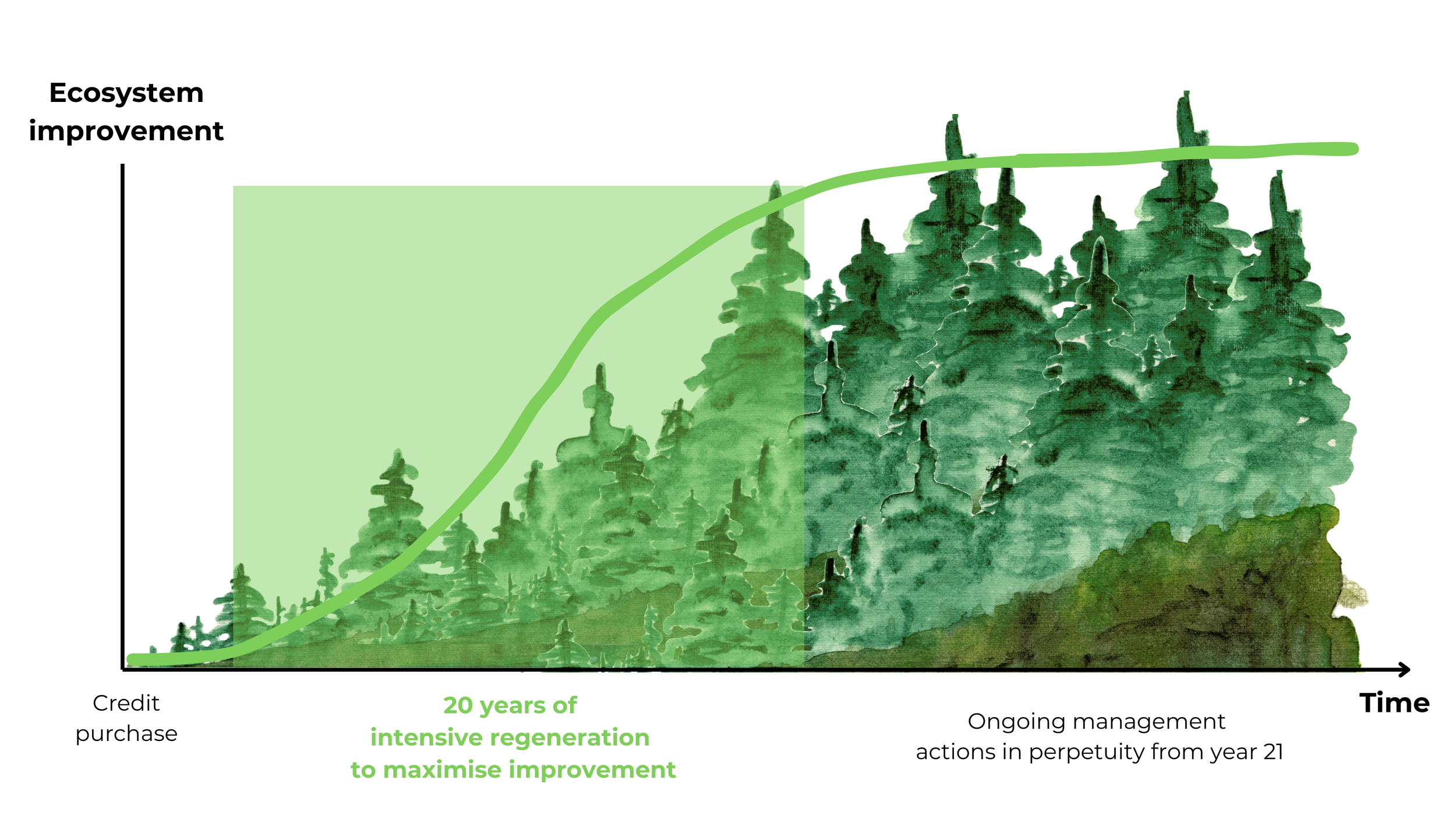 Biodiversity credits explained: Mechanics, markets and use cases for investors