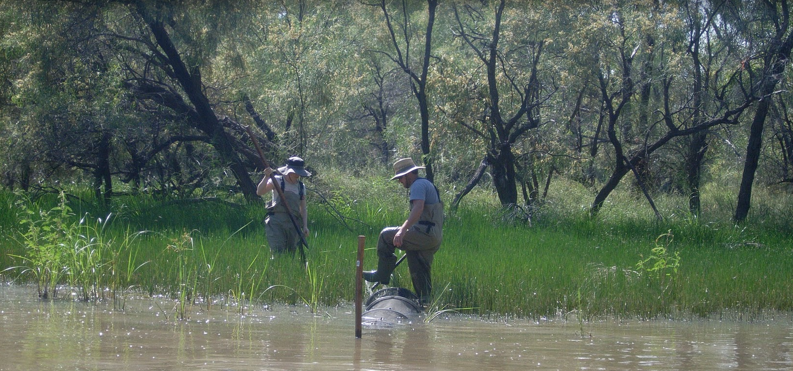 Secondary trade in biodiversity credit markets: how the middle man helps