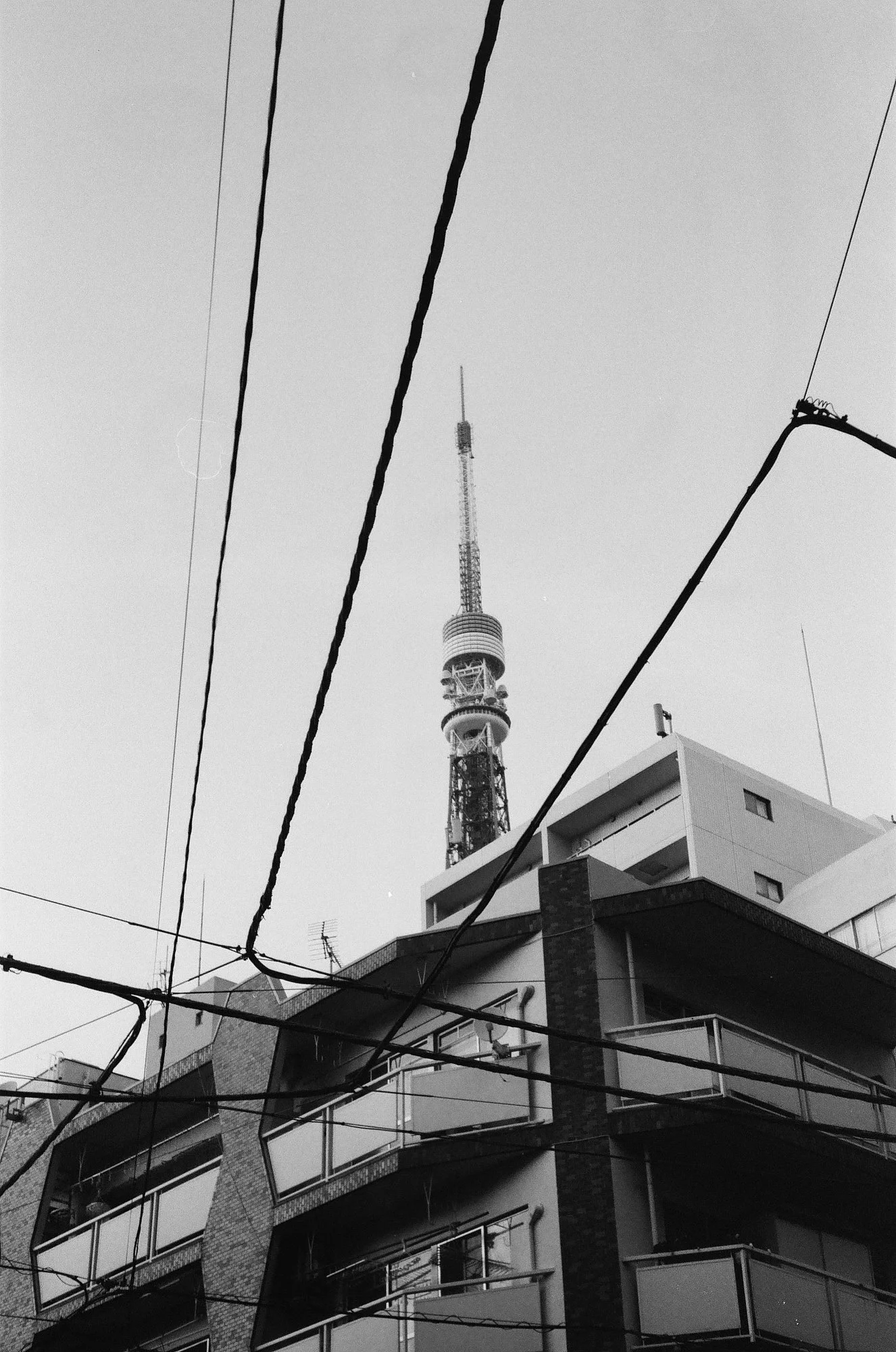 japan.jpg
