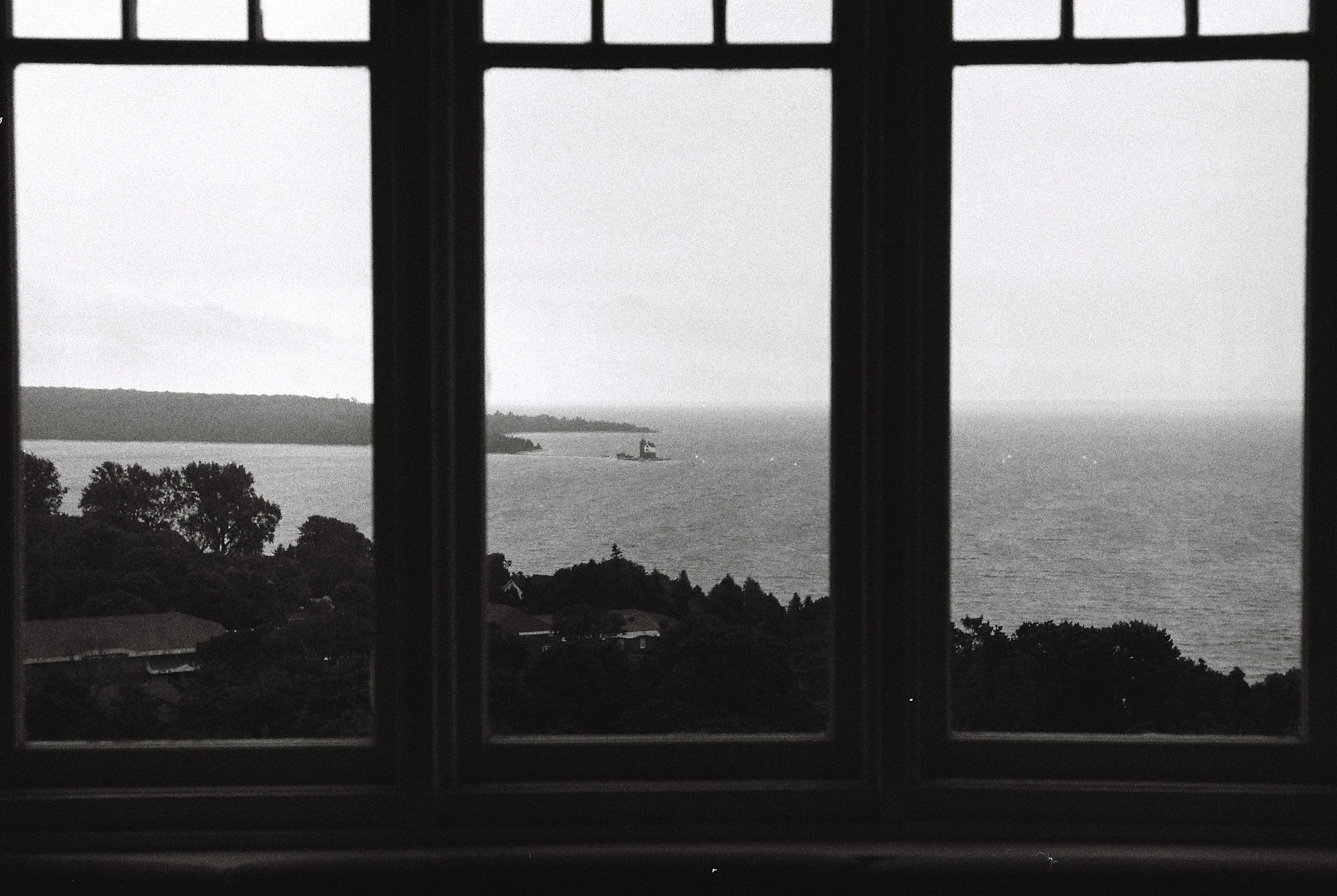 more black and white 1.jpg