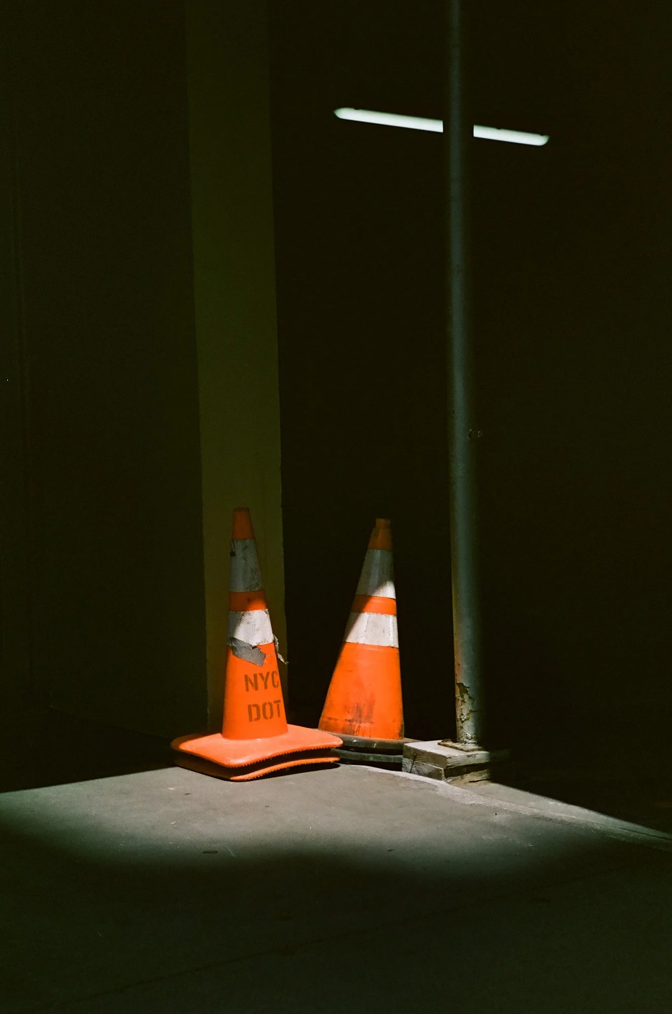 Film 12.jpg