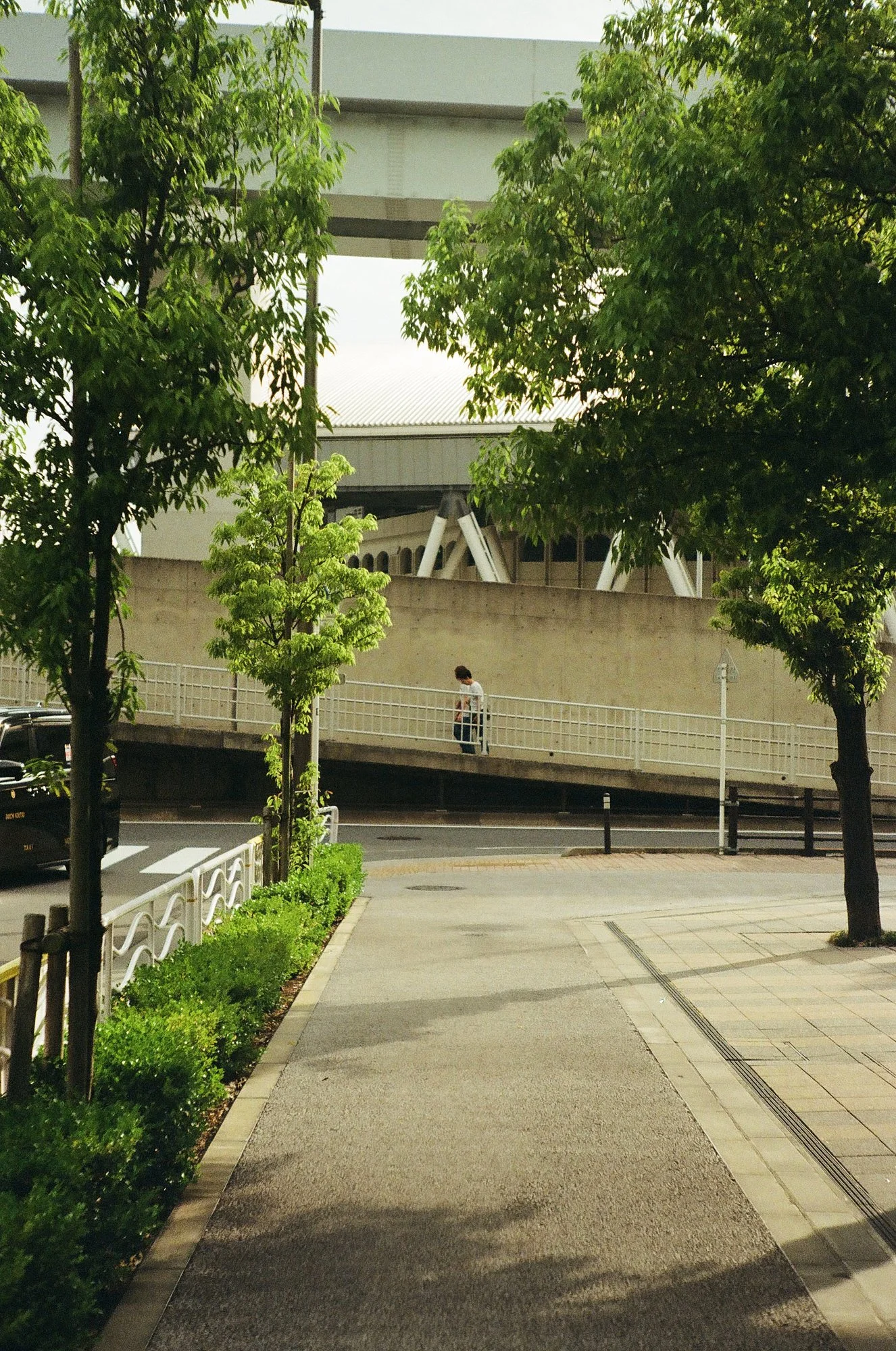 japan 40 copy.jpg