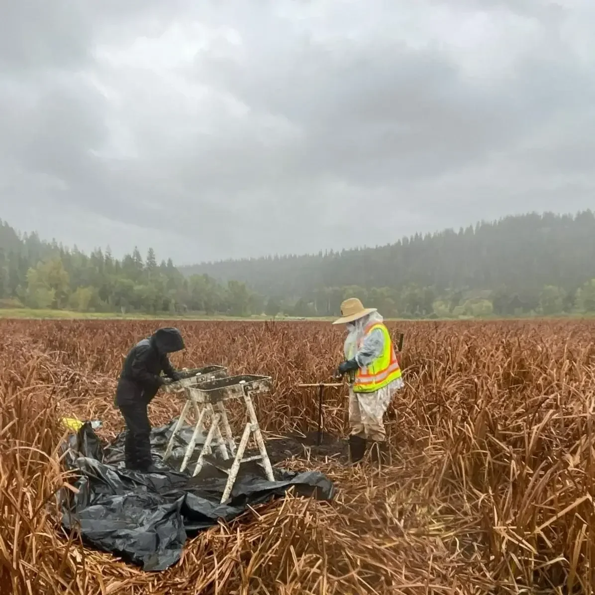 Meet our archaeologists