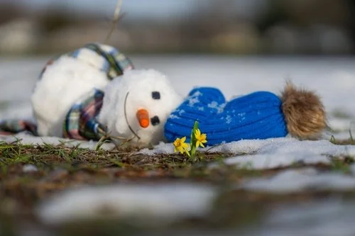 Melting Snowman Final pic.jpg